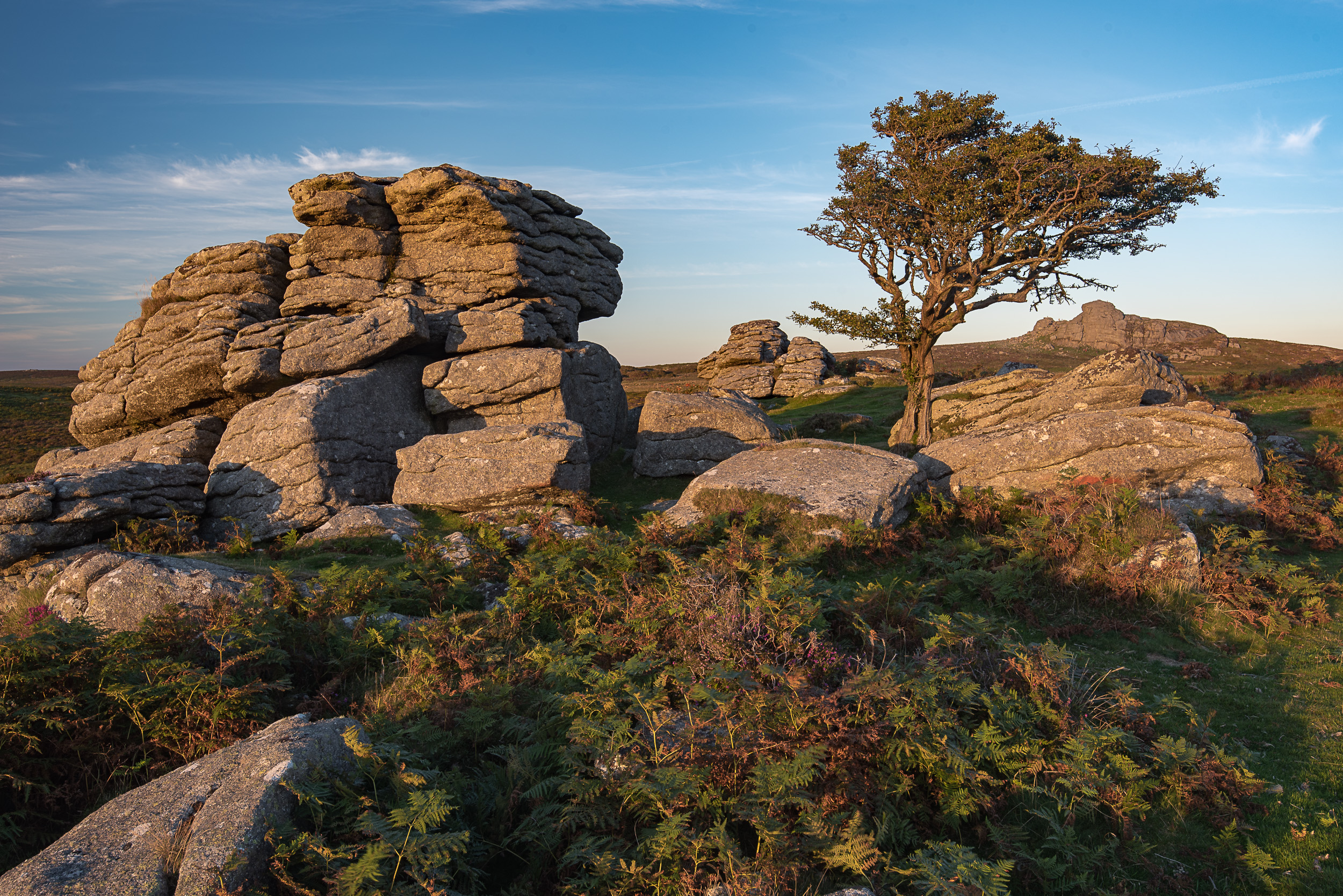 This is the scene I came to shoot but the light and sky just weren't what I wanted.