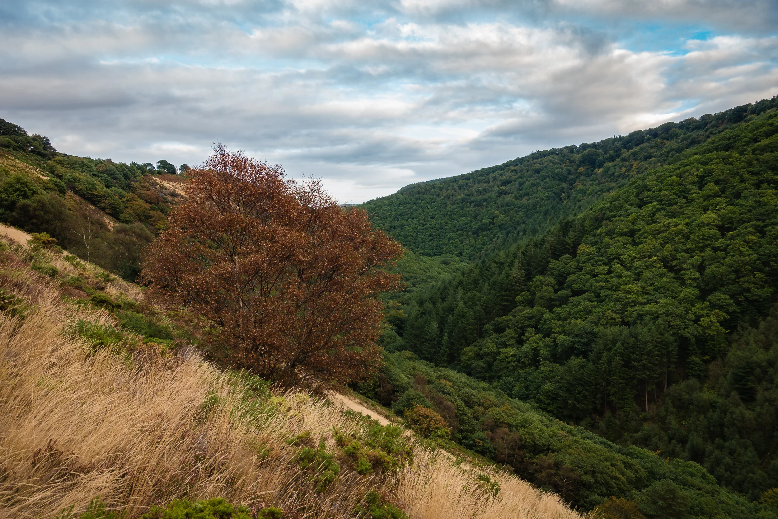 Location Scouting in the Teign Valley
