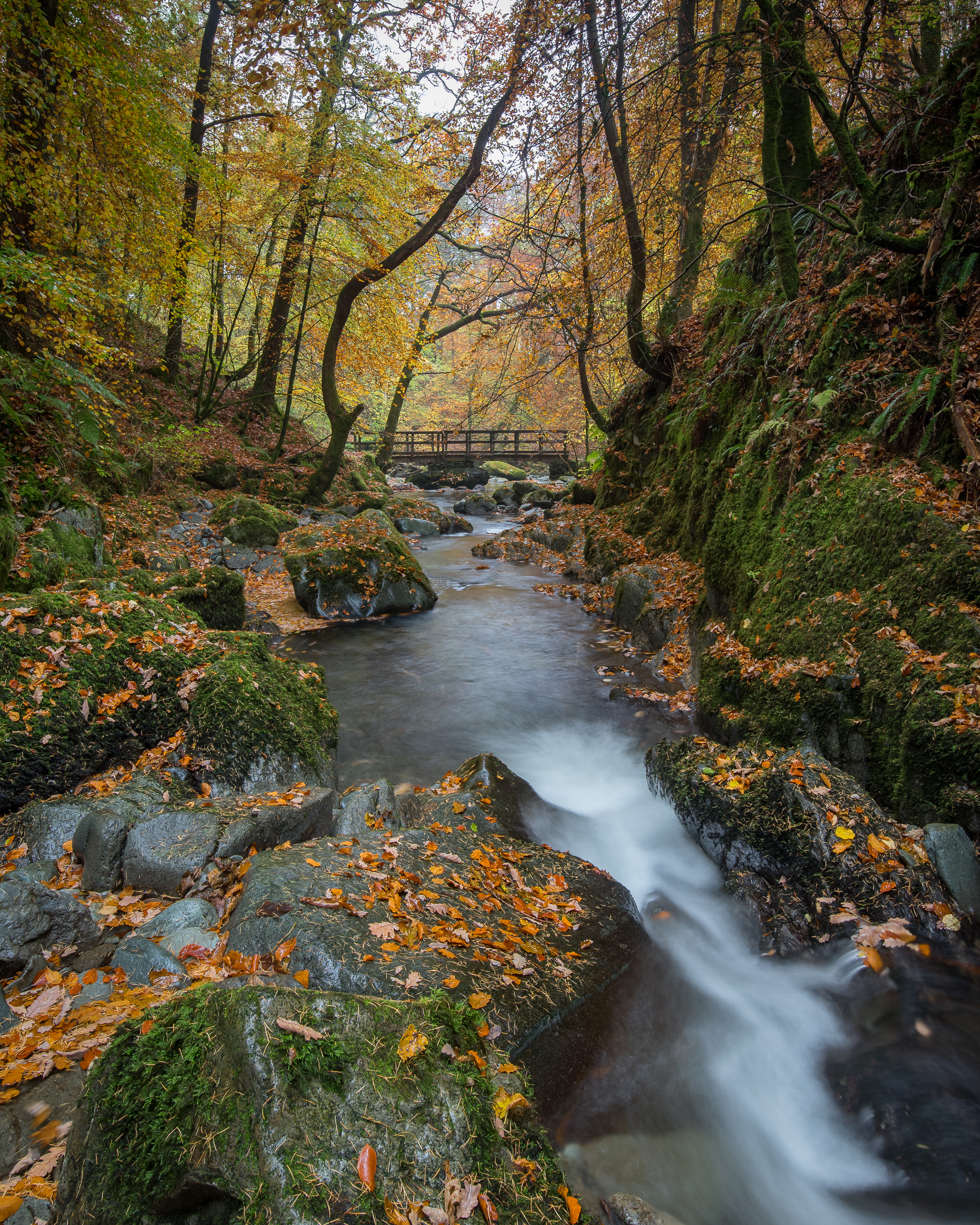 Photographing Stock Ghyll was a real challenge as I spent most of the time clearing rain water from the camera. I found it difficult to concentrate on my composition. I later tried to shoot the waterfalls but couldn't really find a composition I liked.