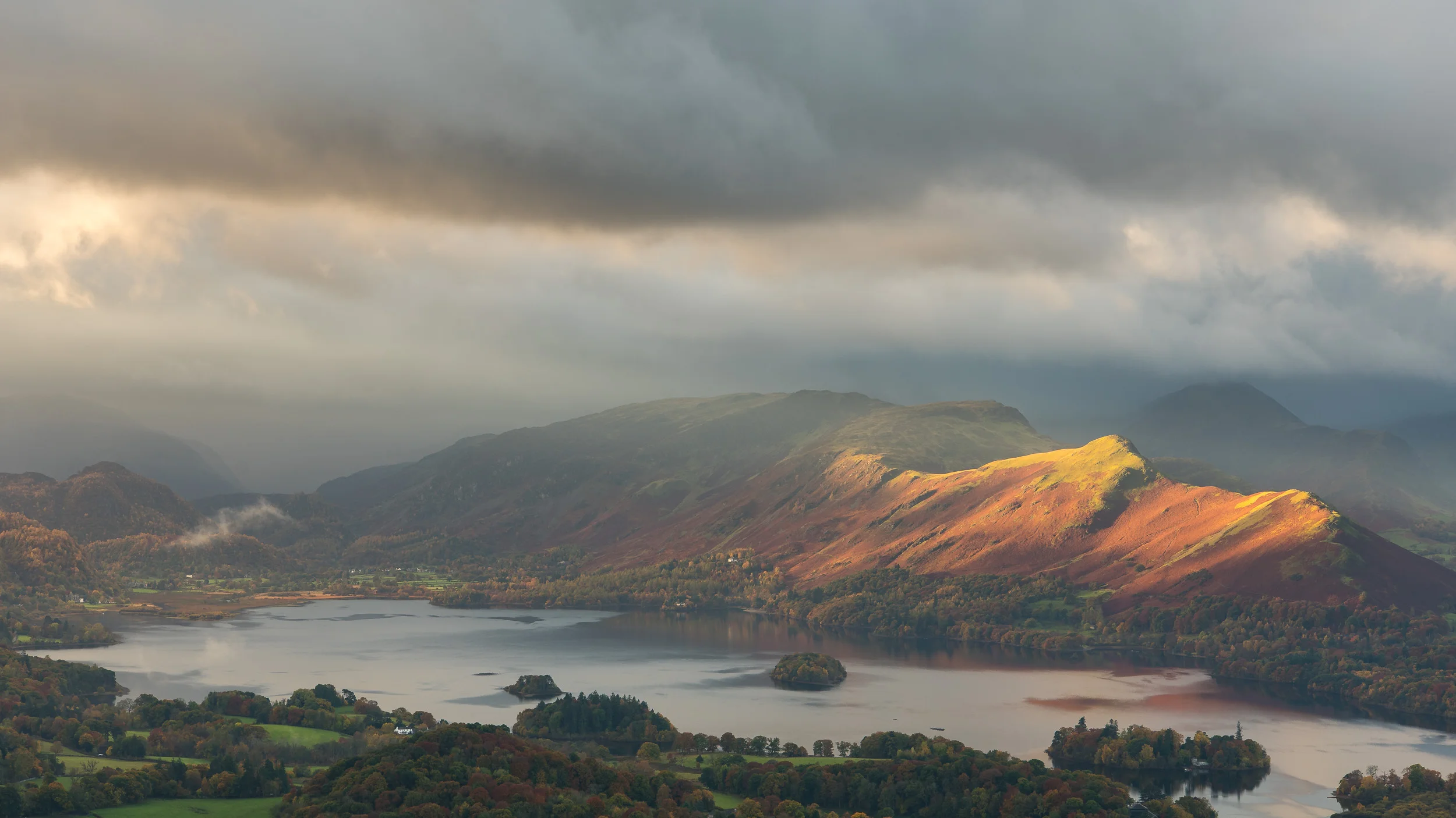 The dawn light struggled to get through the clouds but when it did it provided little moments of magic. This is 16:9 crop from the original frame.
