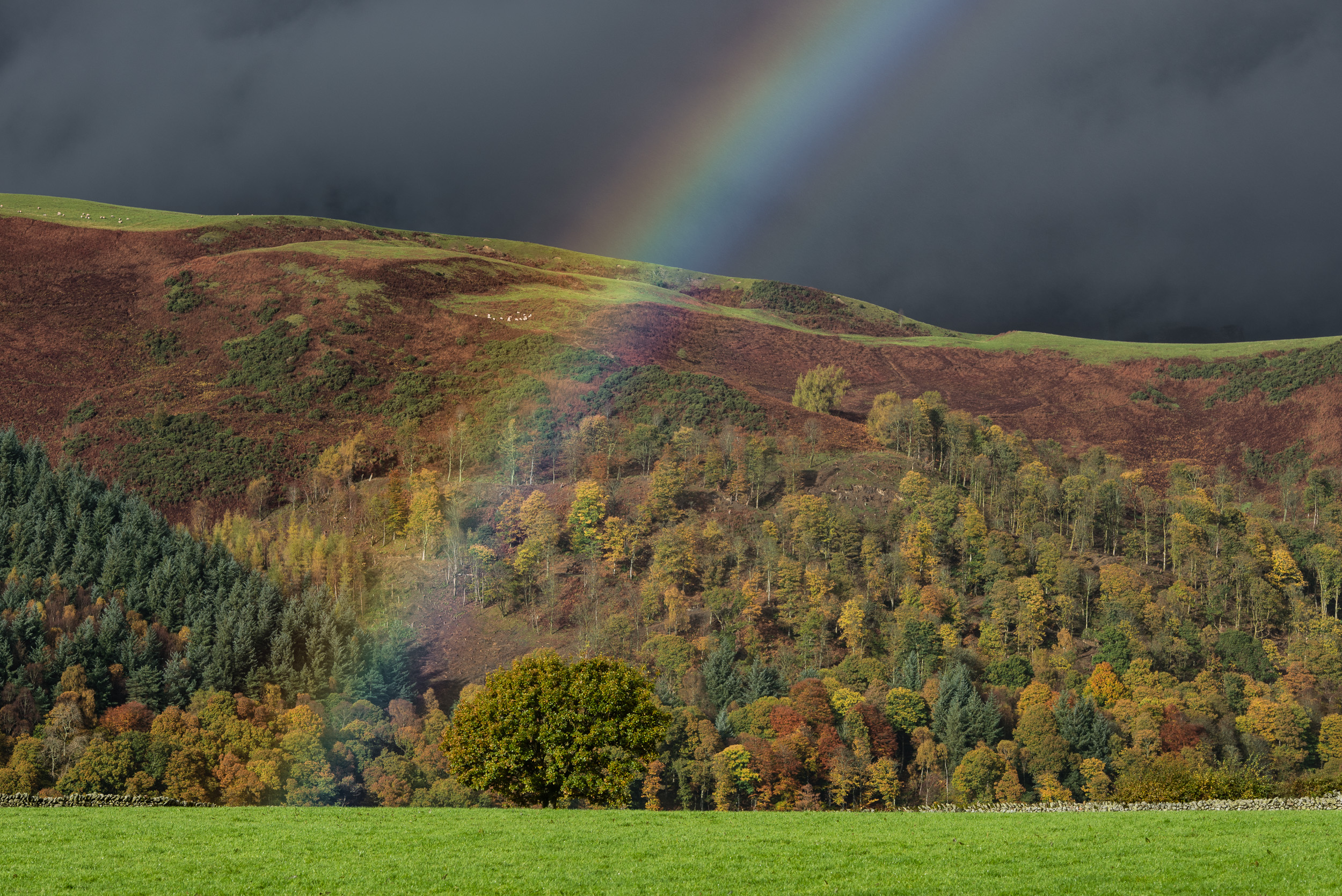 As I've written about before, its important to look around to see what else is happening. I was focused so much on getting the previous image that I almost missed this one. 