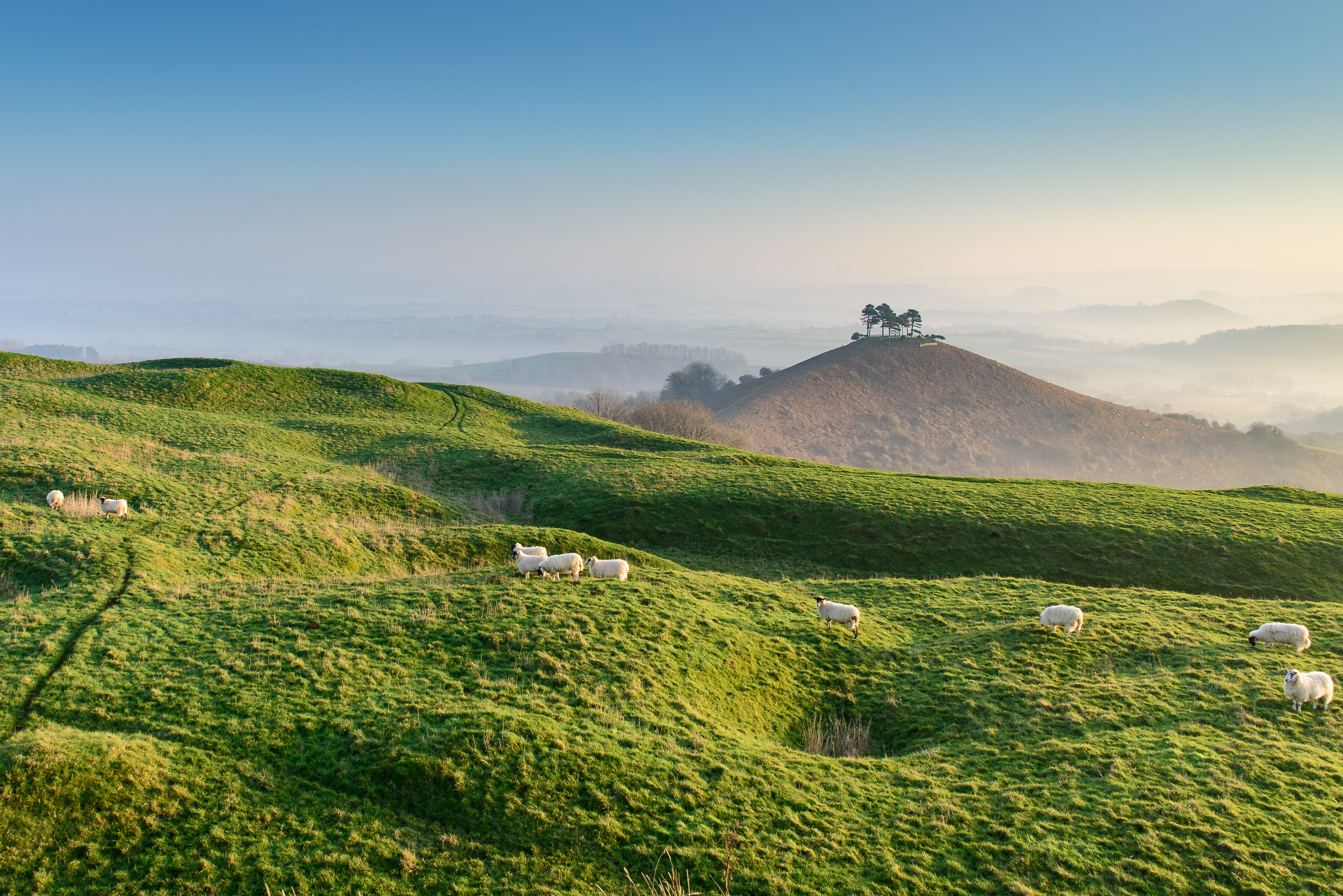 A slightly different view of Colmer's Hill.