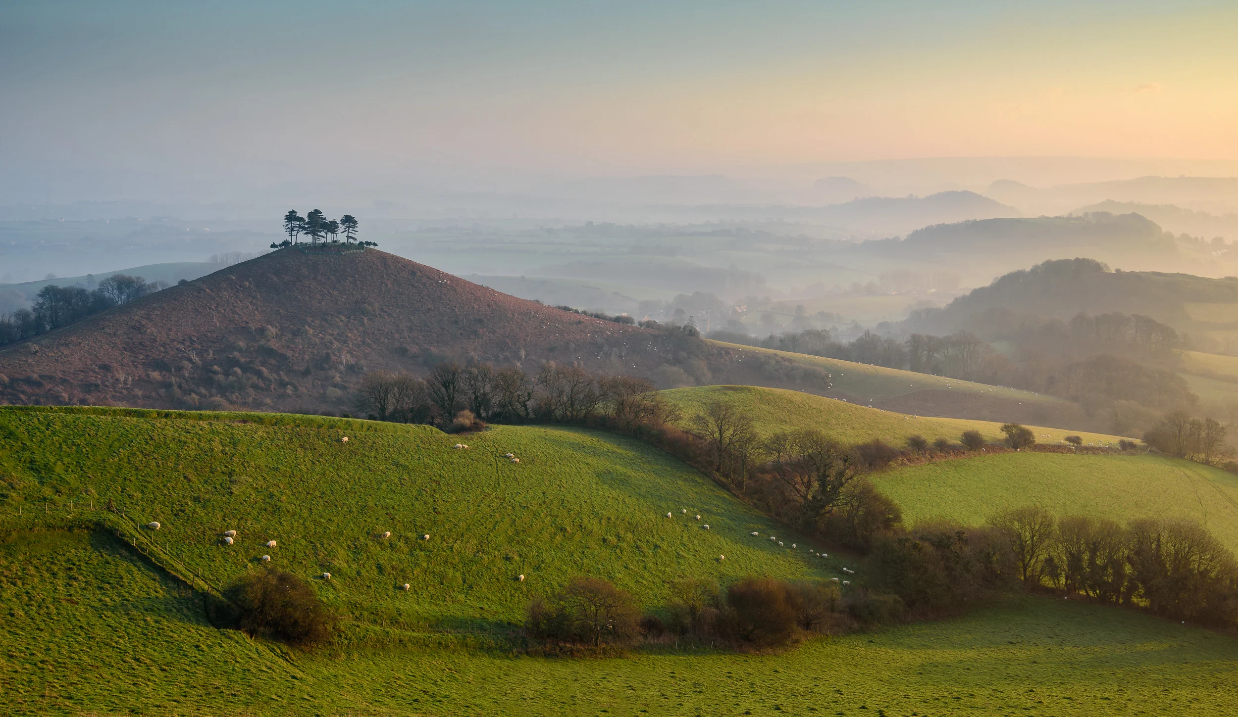 20170122-A Misty Dawn at Colmer's Hill.jpg