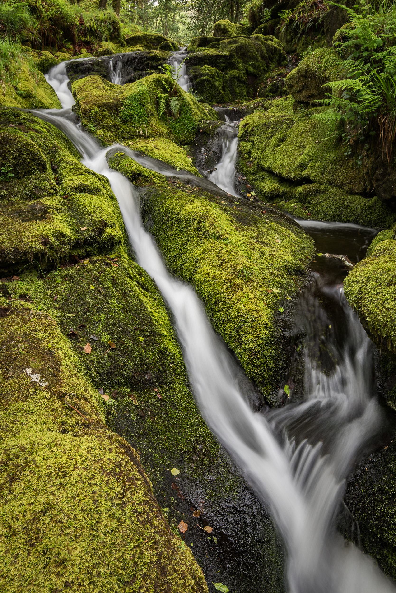 Nikon D750, Nikon 16-35mm f/4 @ 30mm, ISO 400, 0.6 seconds, f/16, Lee Filters Circular Polariser.