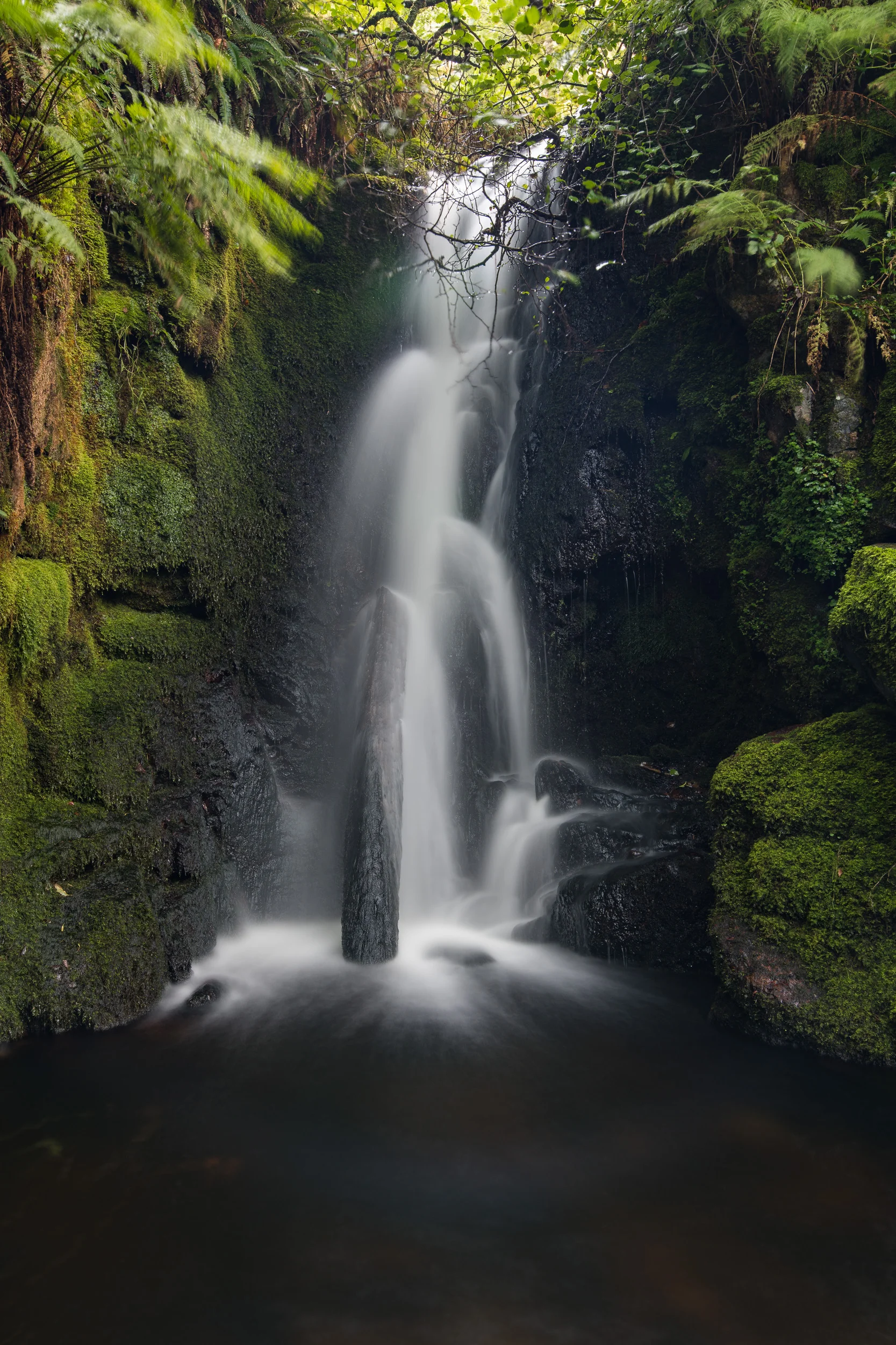 20170910-Venford Falls with the Nikon D850 #3.jpg