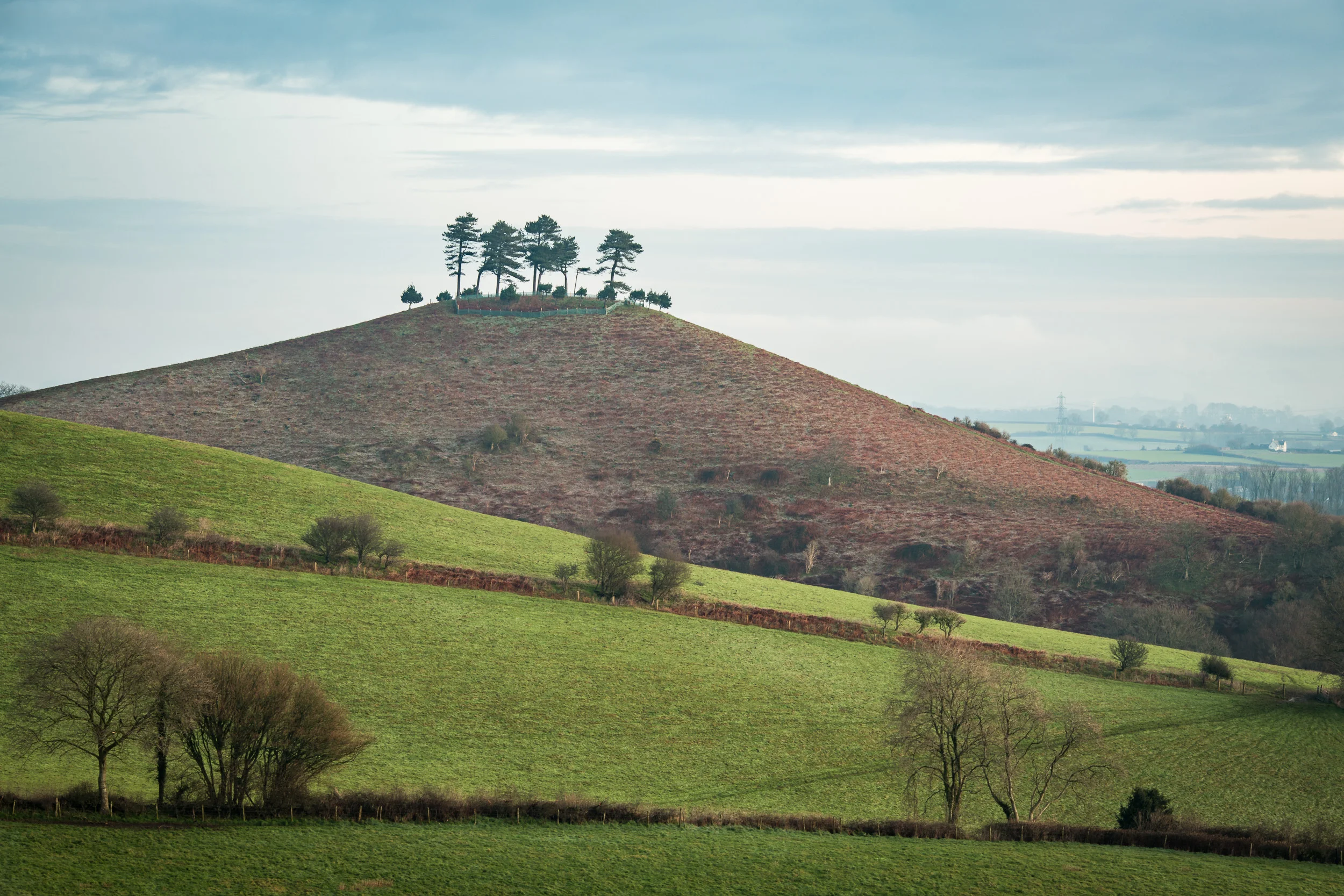An early morning shot from my normal dawn spot. The light wasn't great.