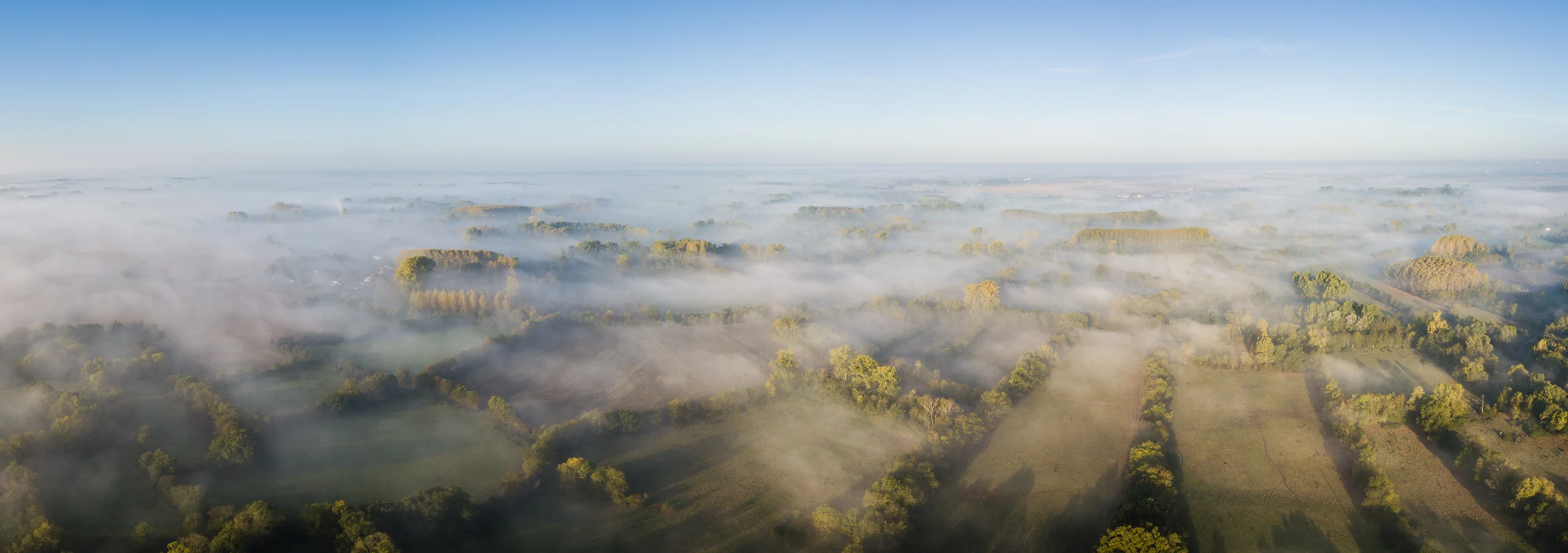 Trees in the Dawn Mist - DJI Mavic Pro, 1/1000th sec at f/2.2, ISO 100, 6 image stich cropped at 6:17.