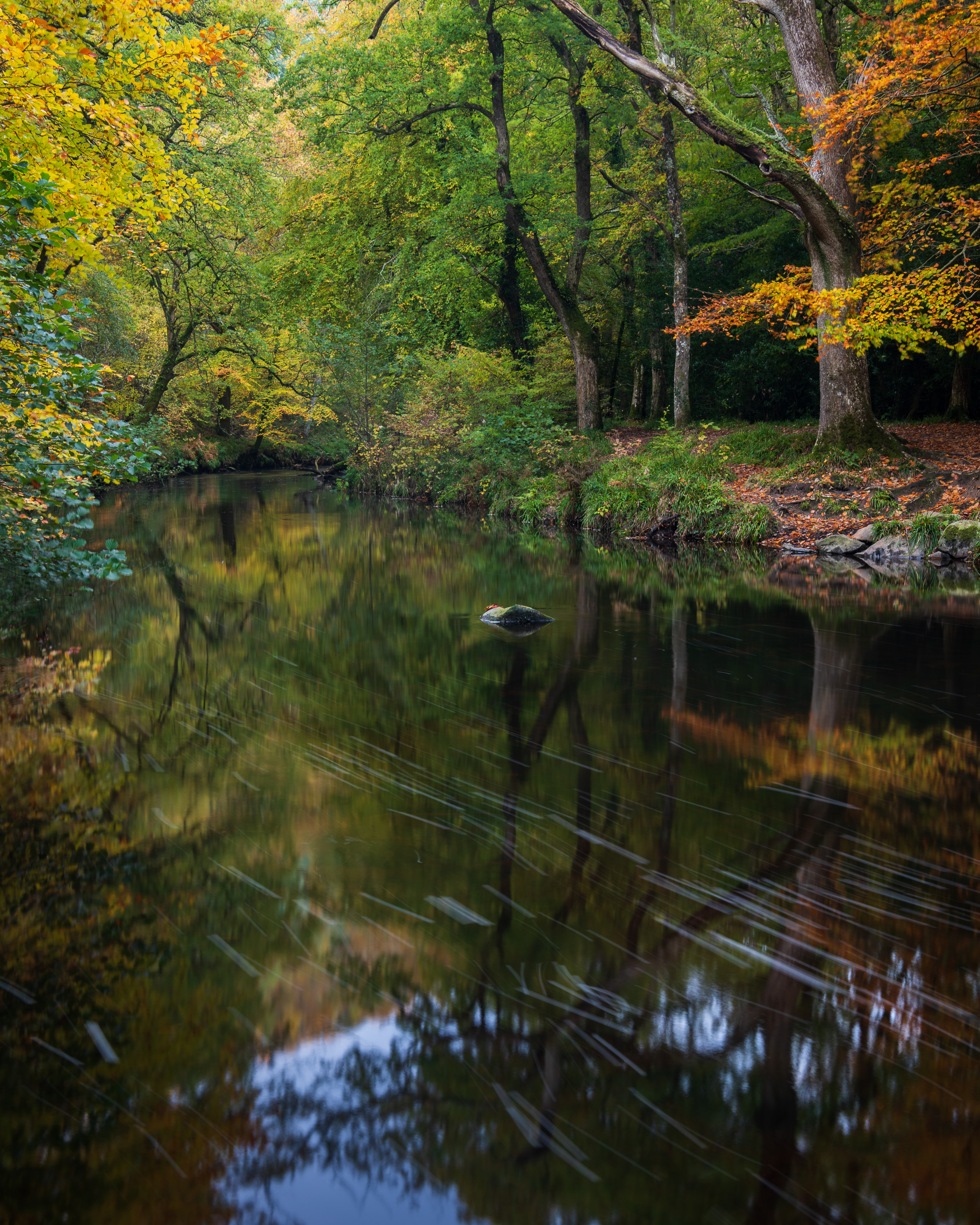Autumn at the River Teign, Dartmoor, Devon - Nikon D850, Nikkor 24-70 mm f/2.8 VR at 42 mm, f/11, 3 seconds at ISO 64, Lee Filters Circular Polariser and ND Grad.