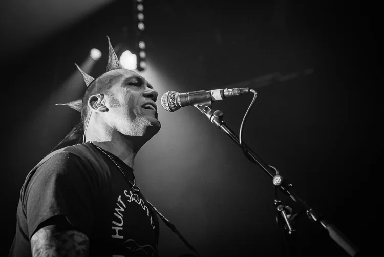 ba3b6-20170414-ferociousdog-20998-12.jpg