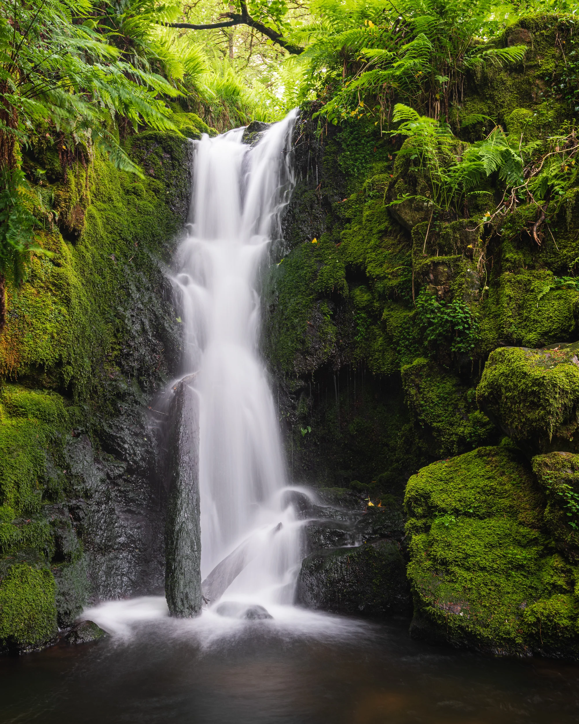 The Fall, Dartmoor, Devon - Nikon D850, Nikkor 16-35 mm f/4 at 35 mm, f/11, 2.5 sec at ISO 64, Kase CPL.