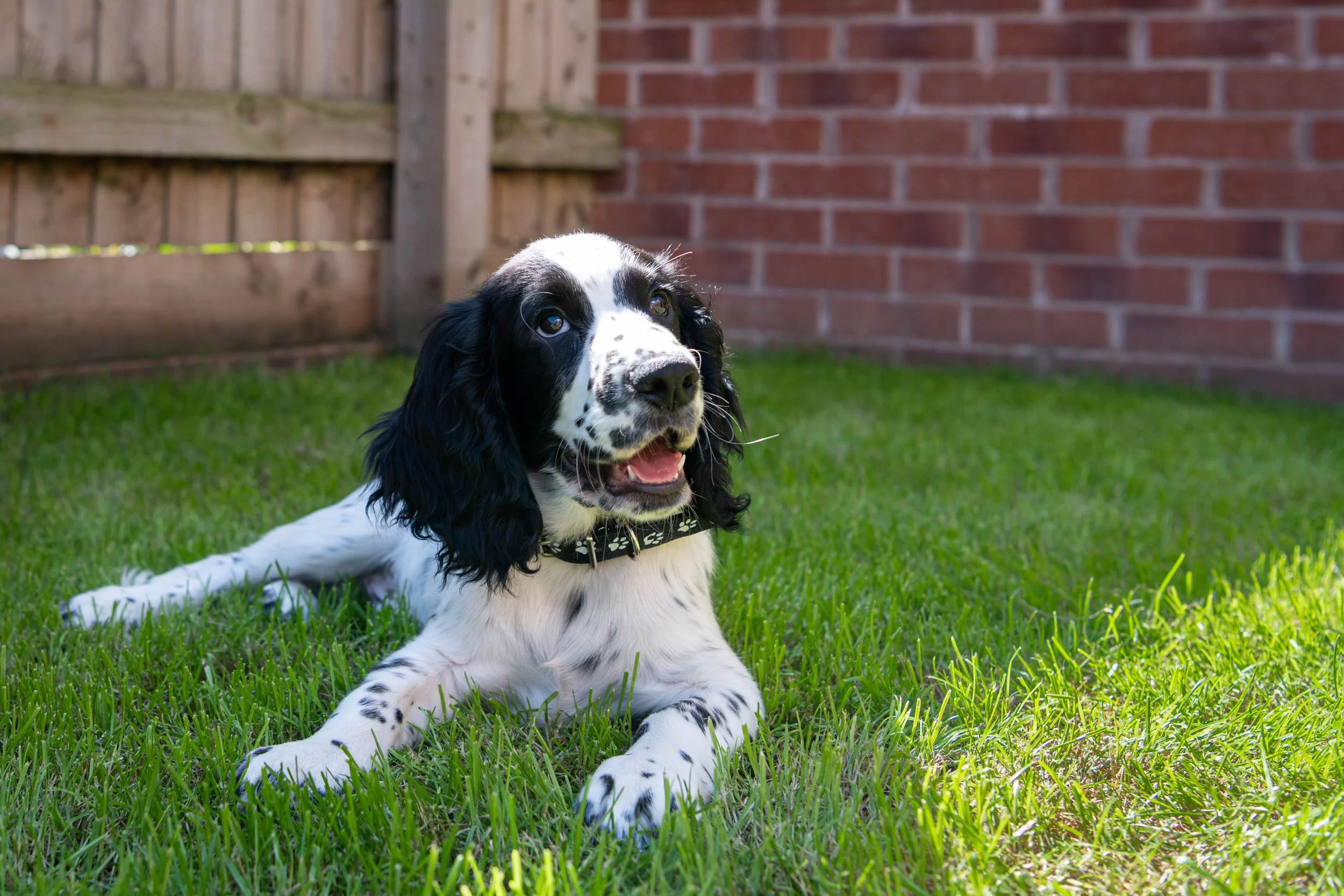 And Now for Something Completely Different