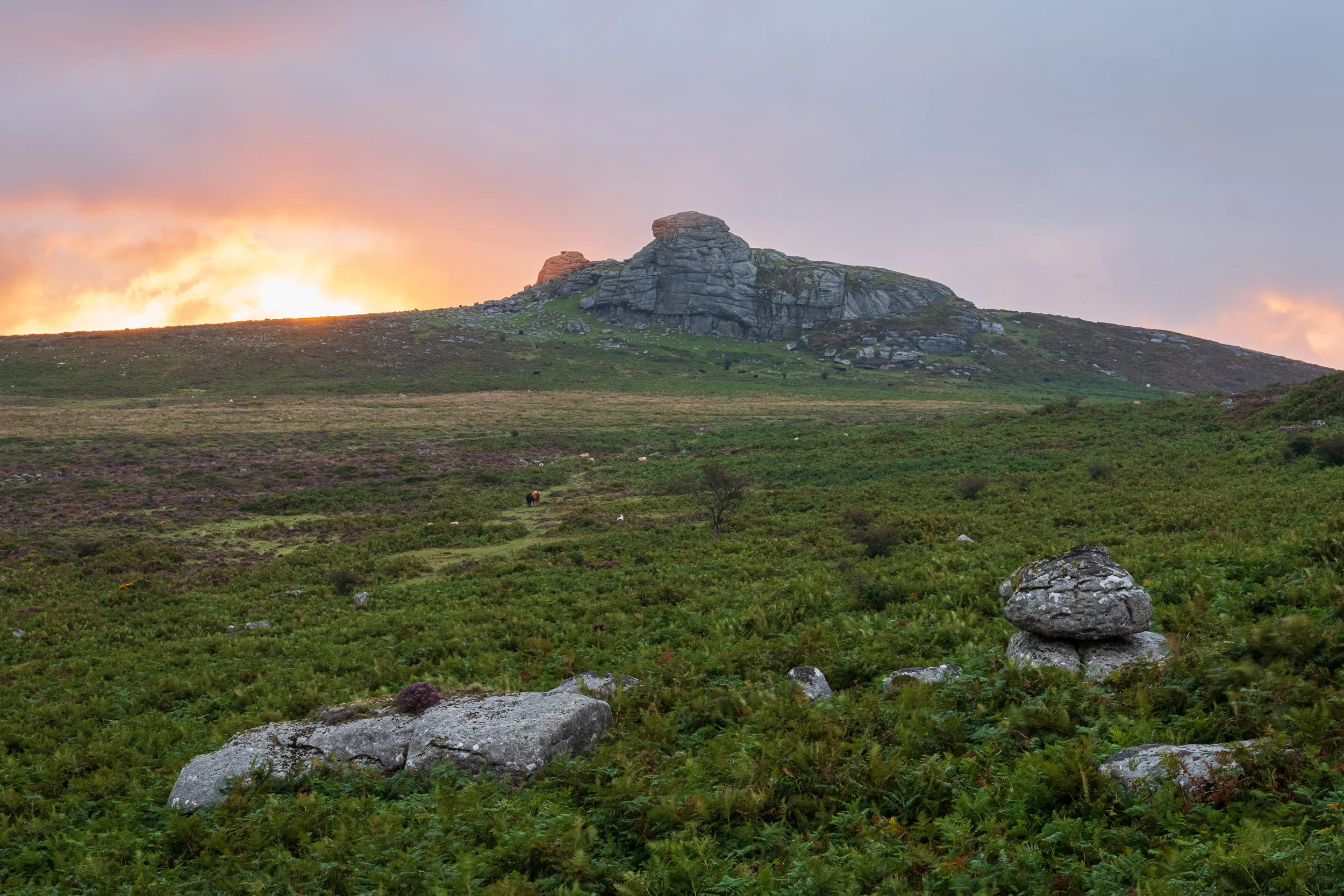 Love the Outdoors First