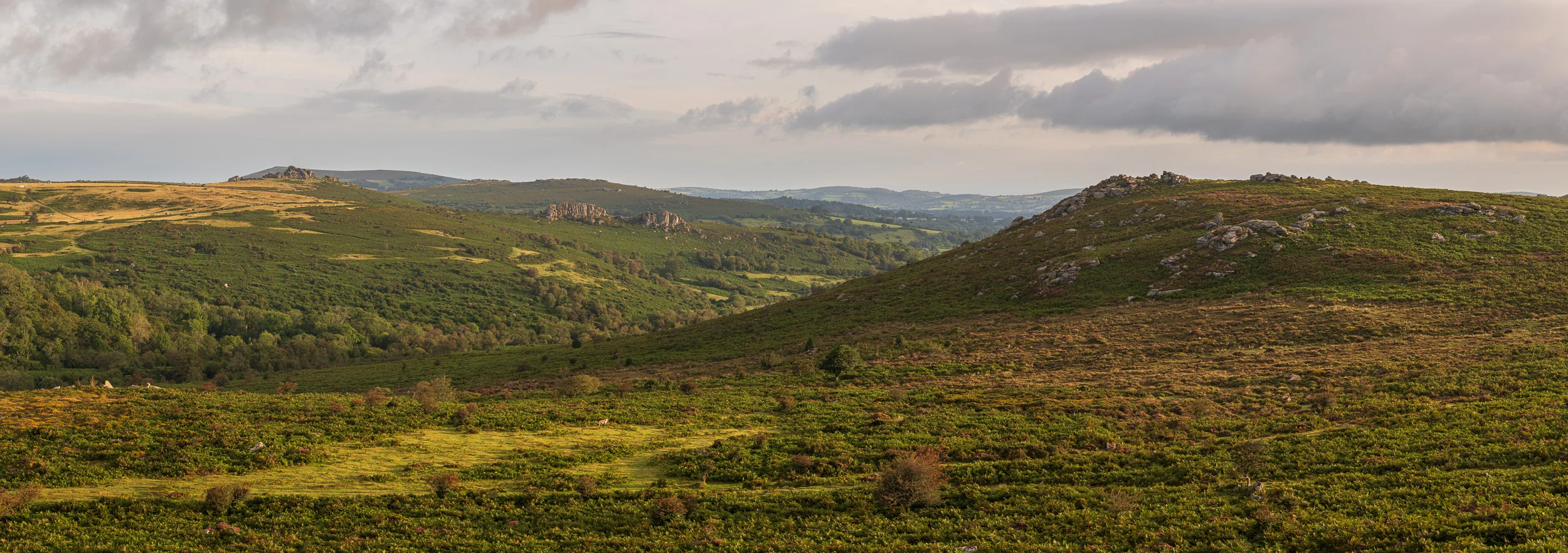 Houndtor, Greator Rocks and Holwell Tor Panorama, Dartmoor, Devon - Nikon D850, Nikkor 24-70 mm f/2.8 at 70 mm, f/8, 1/40th sec at ISO 64, 8 image panoramic cropped to 6:17.