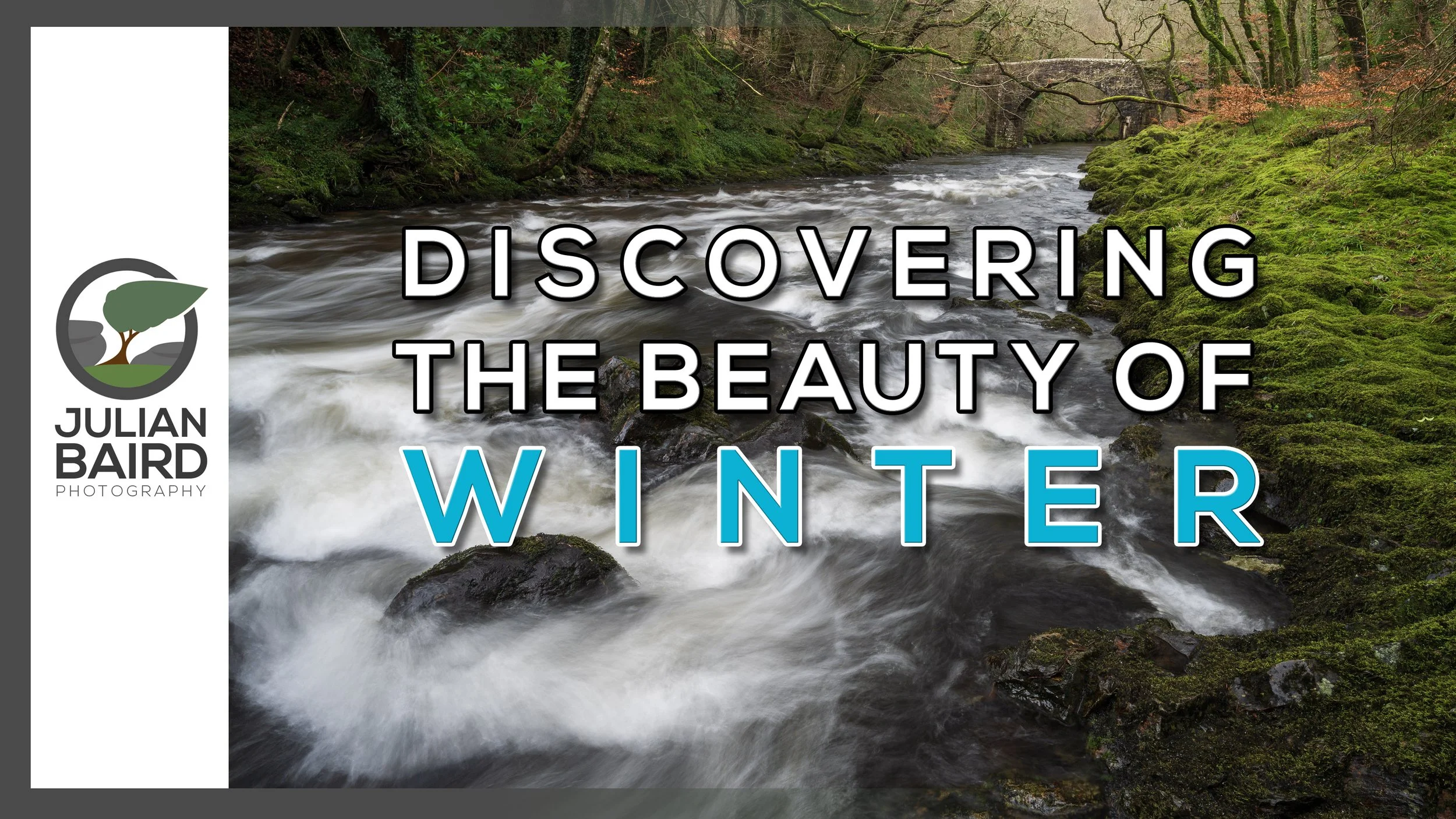 Discovering Beauty in a Winter Woodland