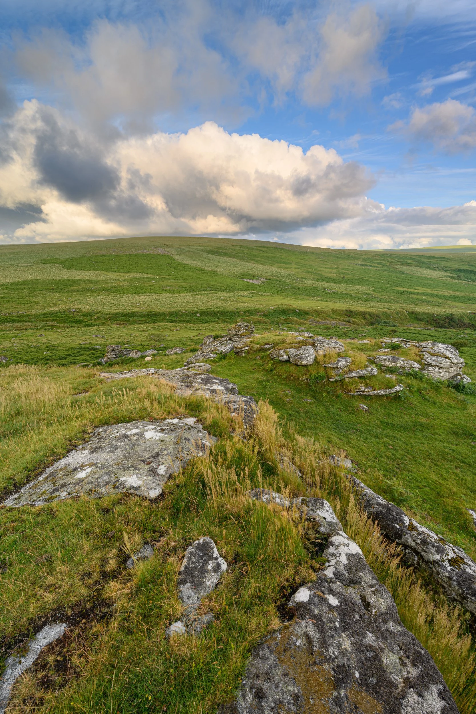 Combshead Tor