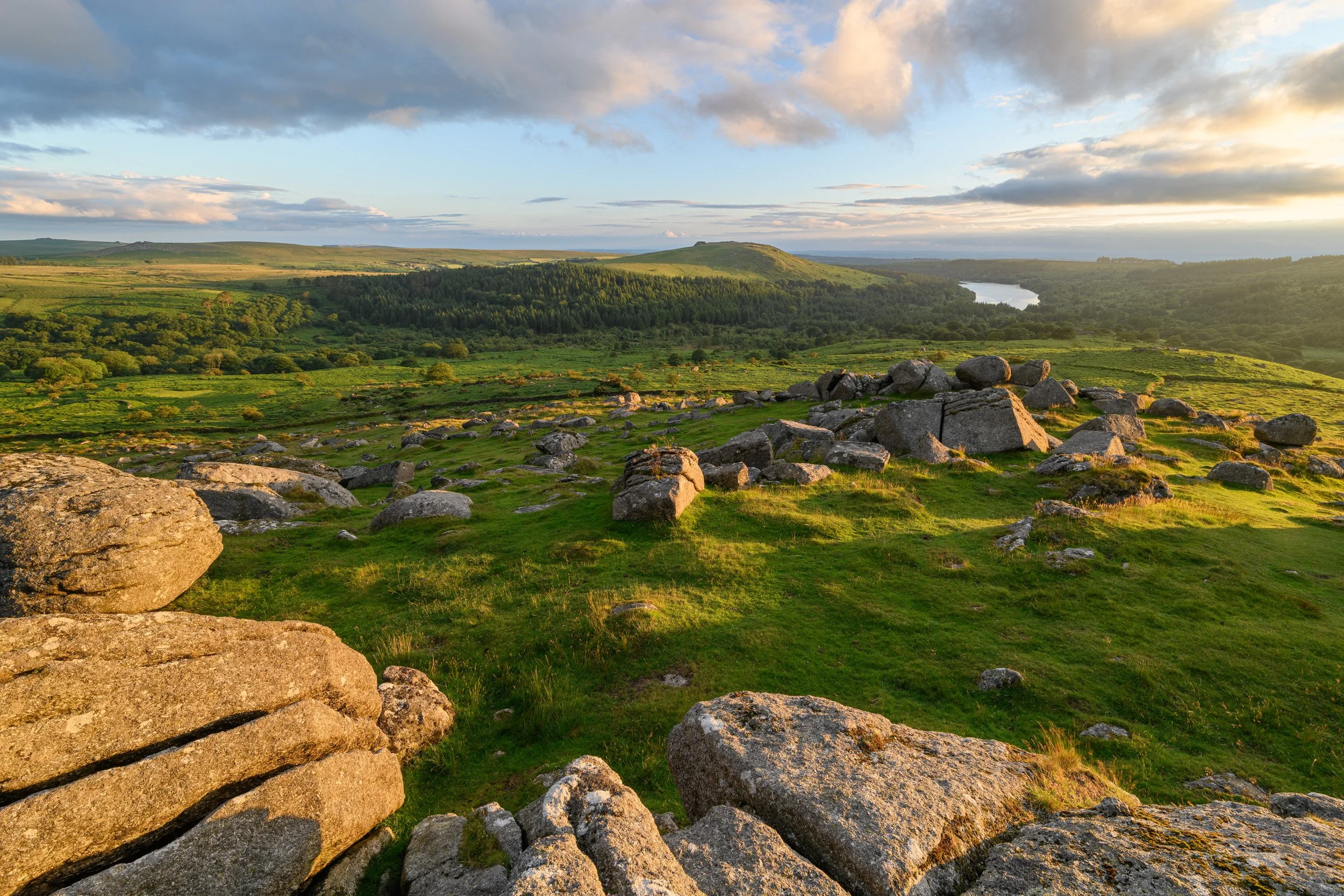 Down Tor