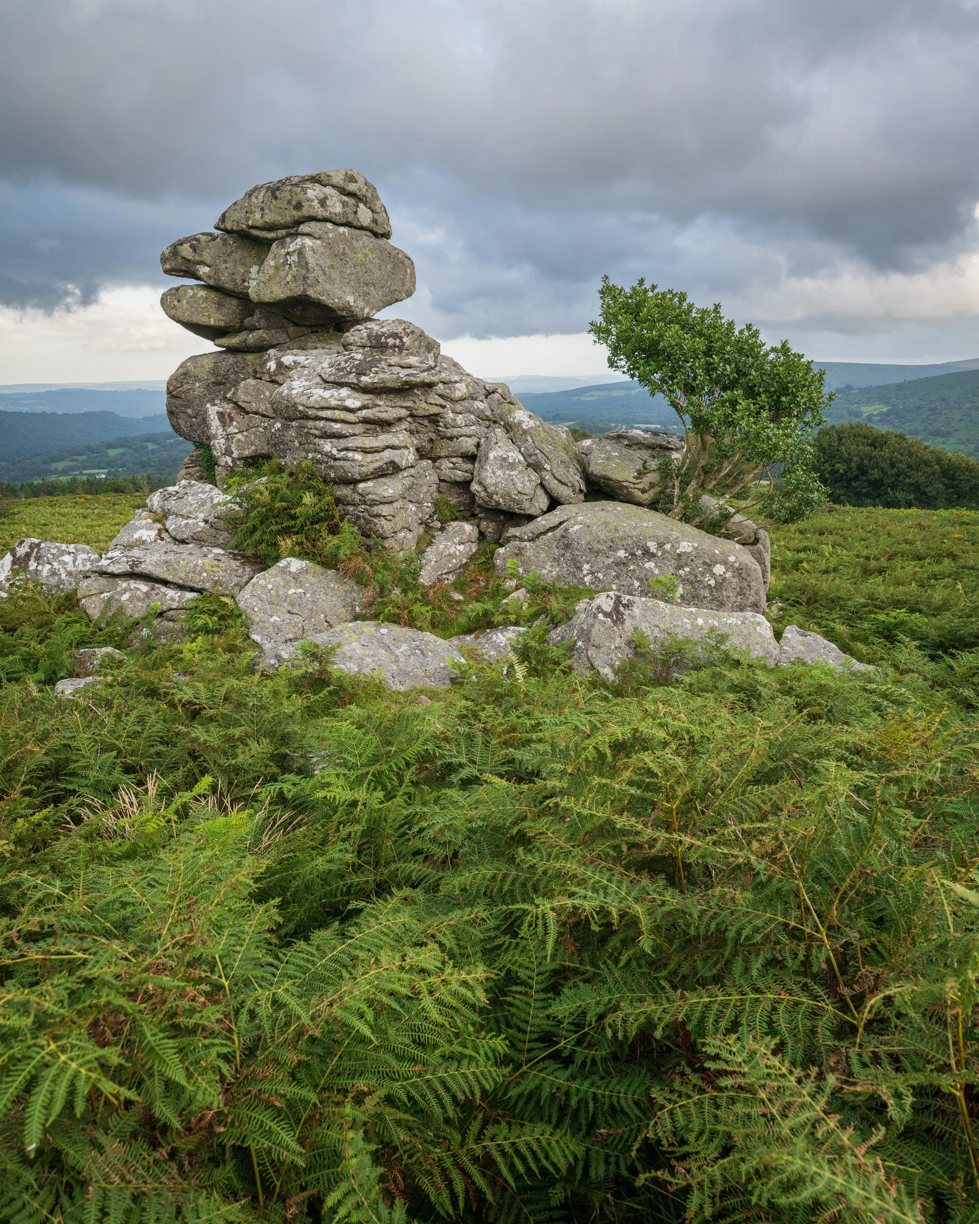 Figgie Daniel nr Easdon Tor