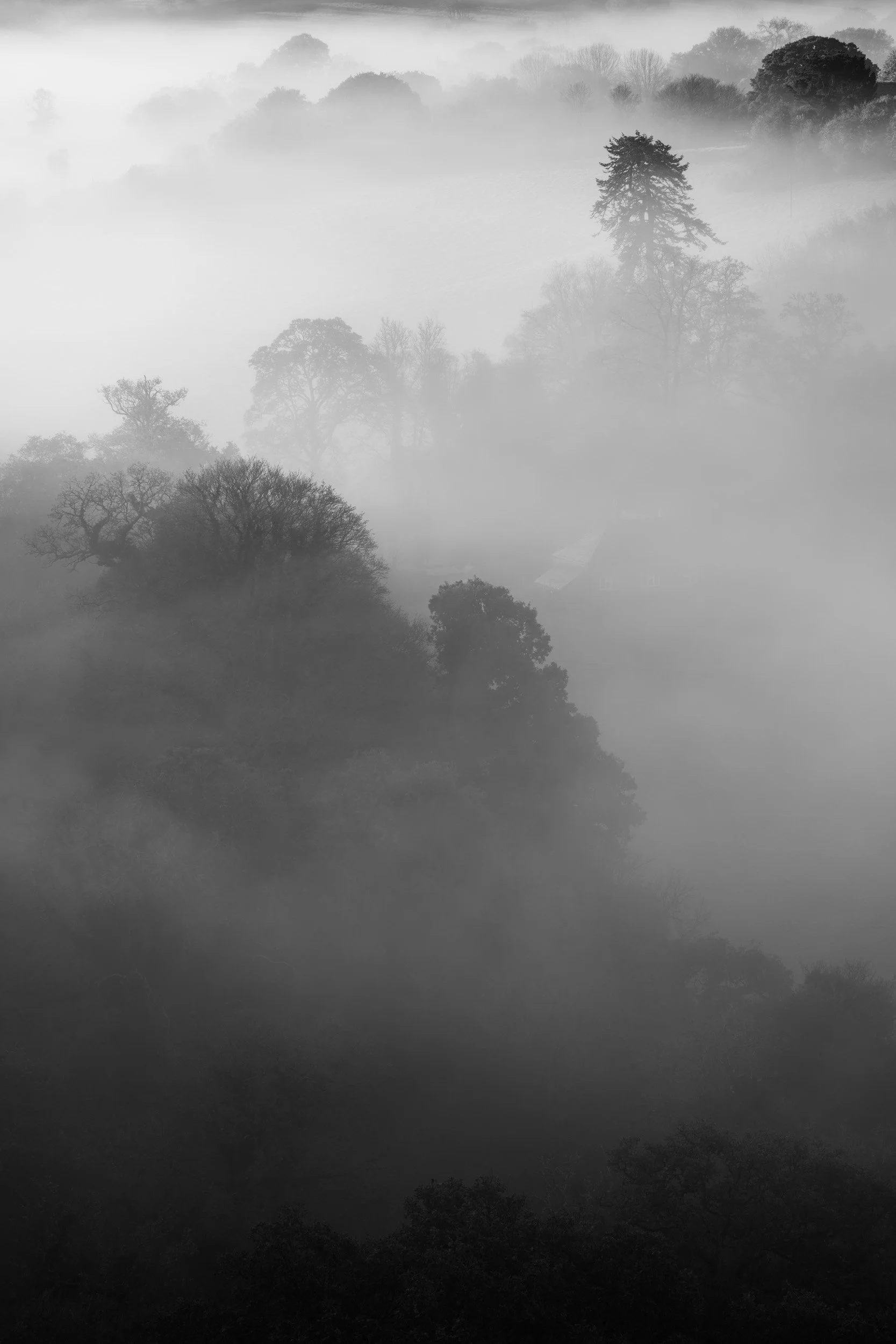 Teign Valley