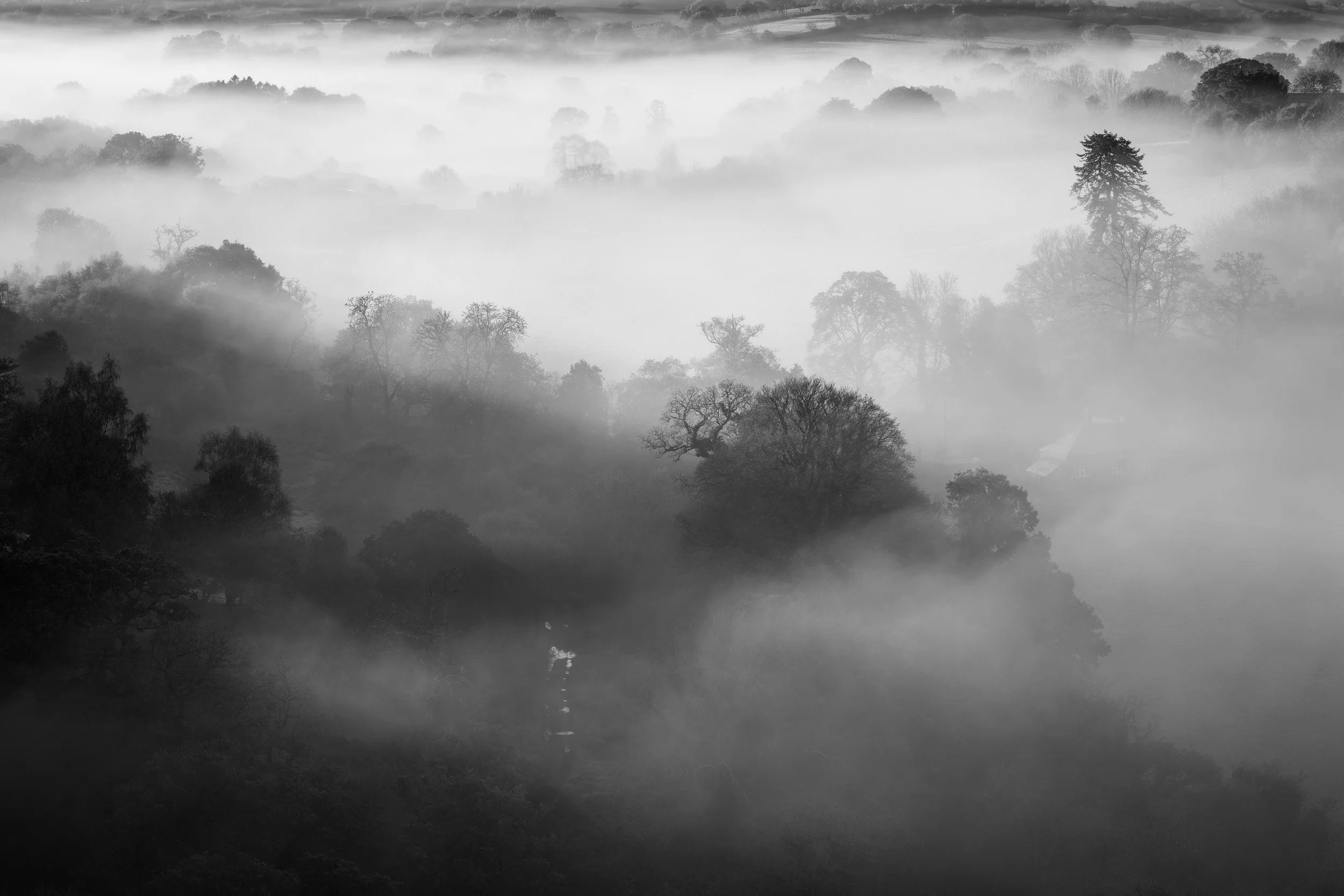 Teign Valley