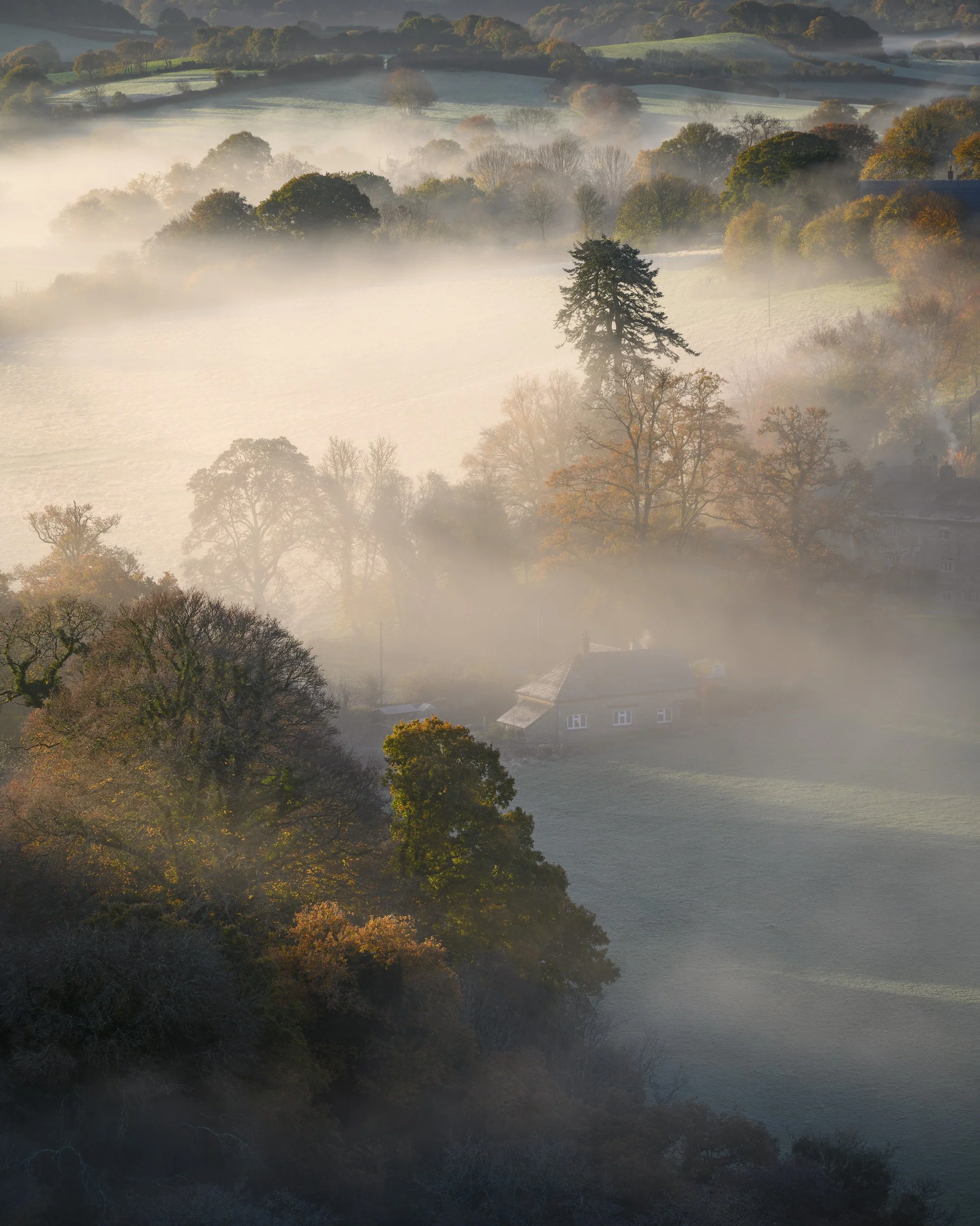 Teign Valley