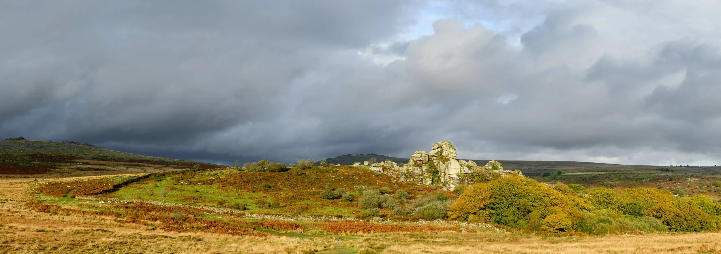 Vixen Tor