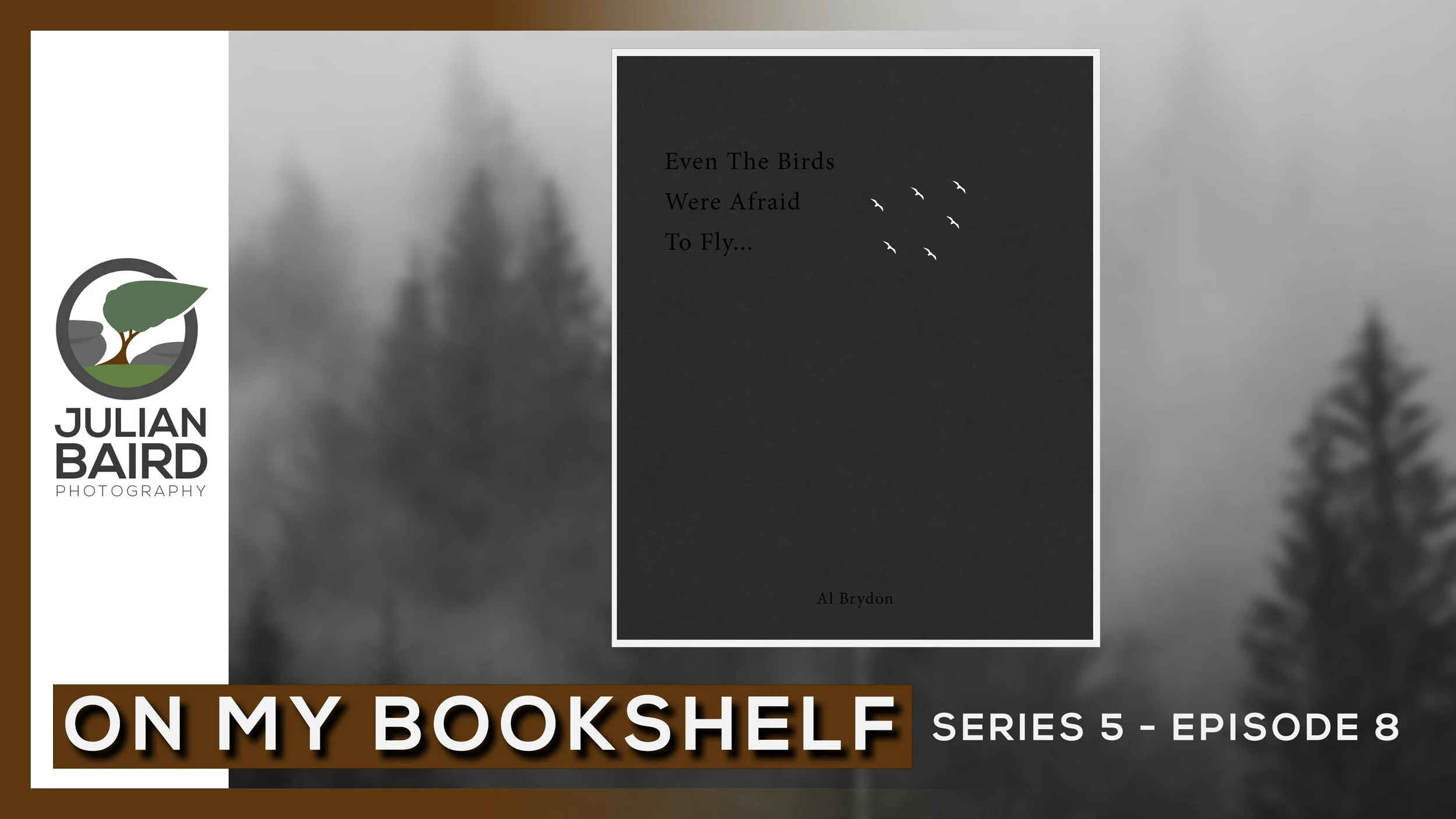 Even The Birds Were Afraid To Fly by Al Brydon and Published by Kozu Books - On My Bookshelf S05E08