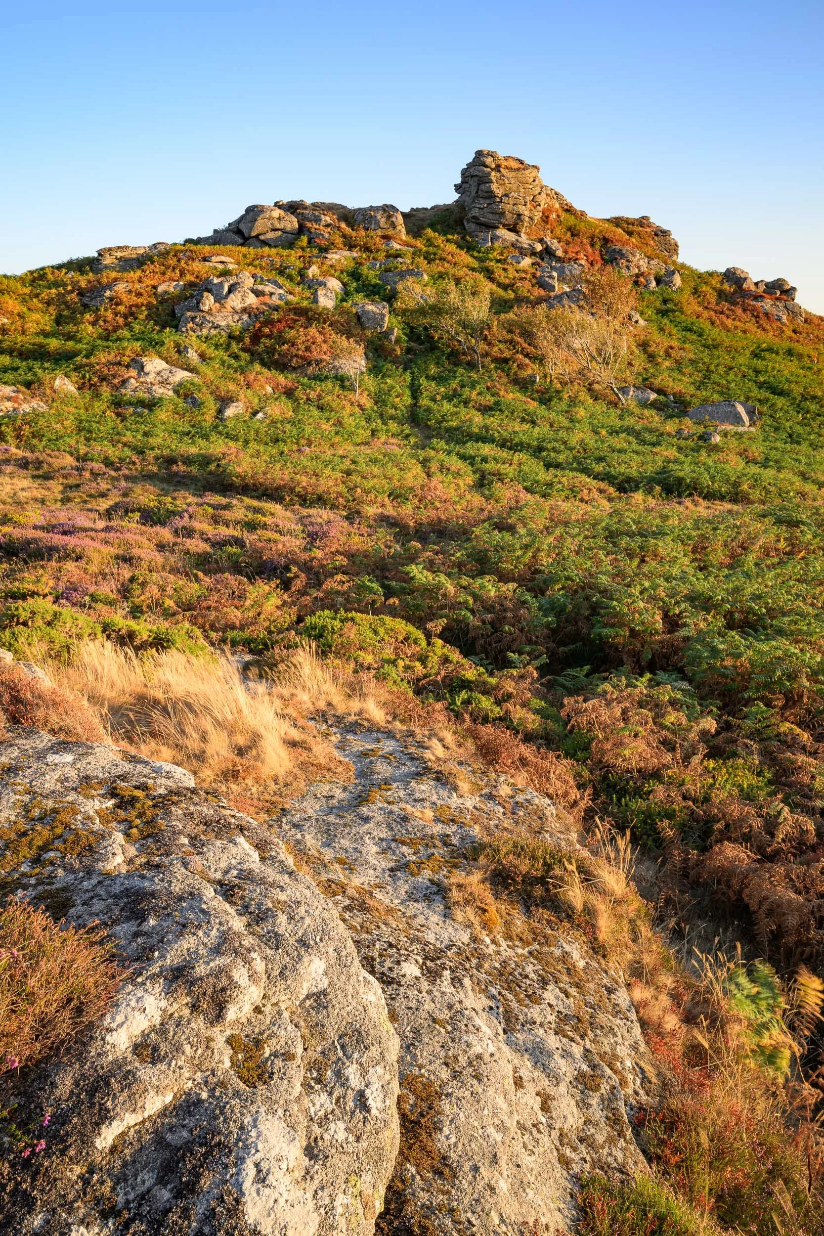 Bite-Size Blog Post #81 - Honeybag Tor at Sunset