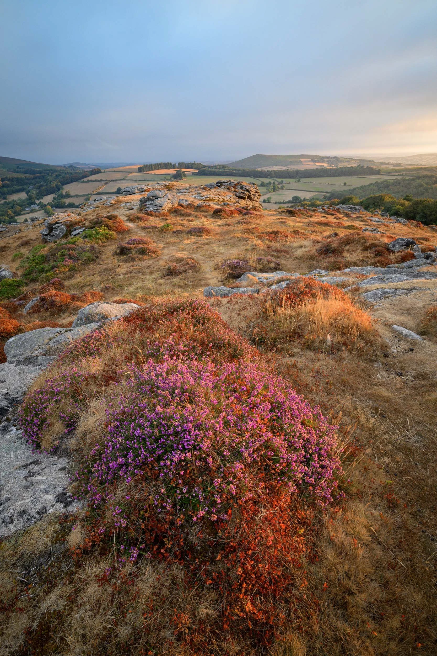 Bite-Size Blog Post #82 - Honeybag Tor at Sunrise