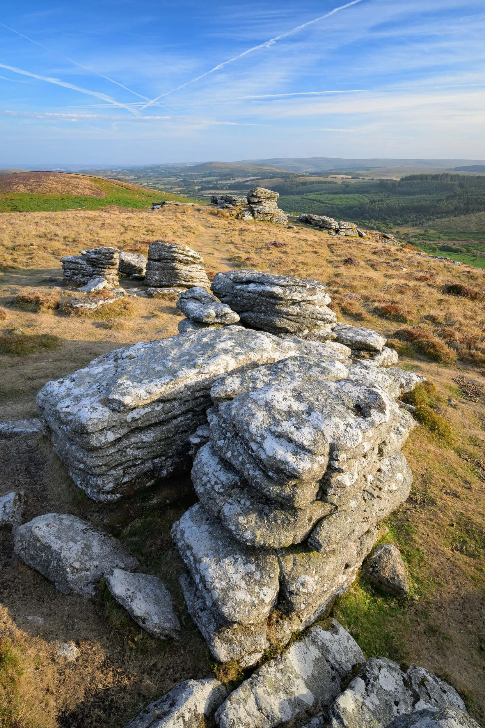 Bite-Size Blog Post #85 - Heather Hunting on Birch Tor