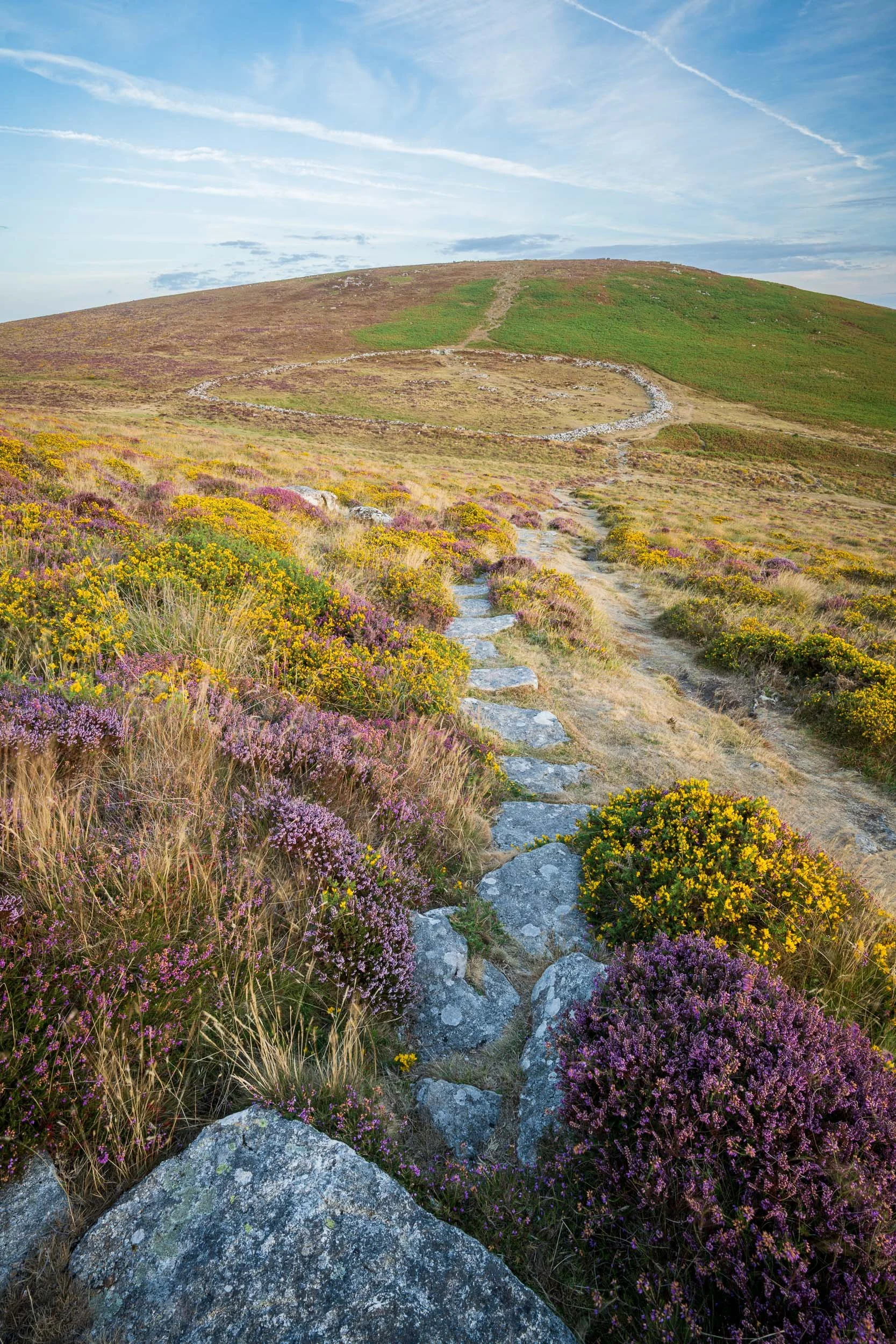 A sunset photograph of heather and Grimspound on Dartmoor National Park