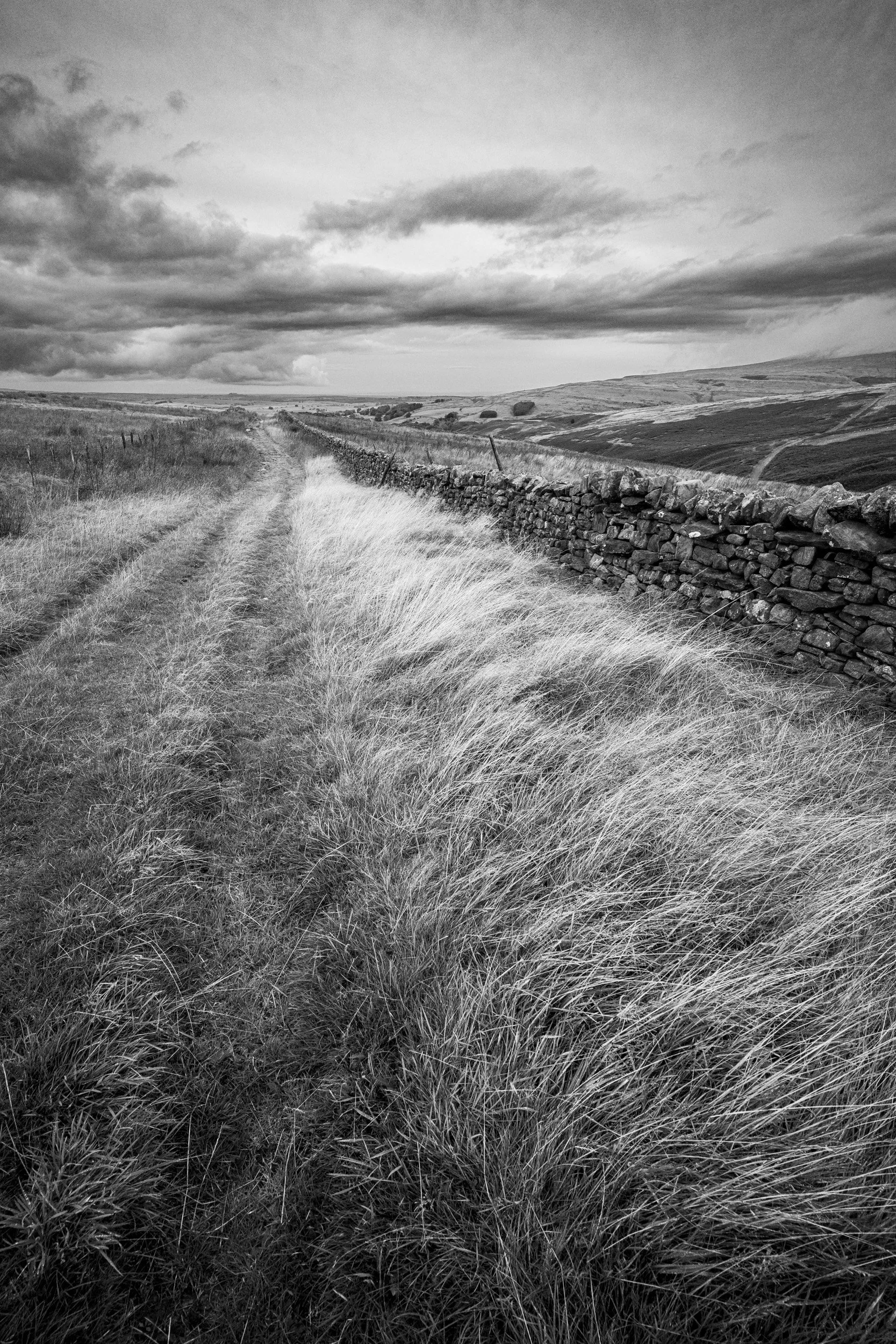 Bite-Size Blog Post #88 - Haresceugh Fell