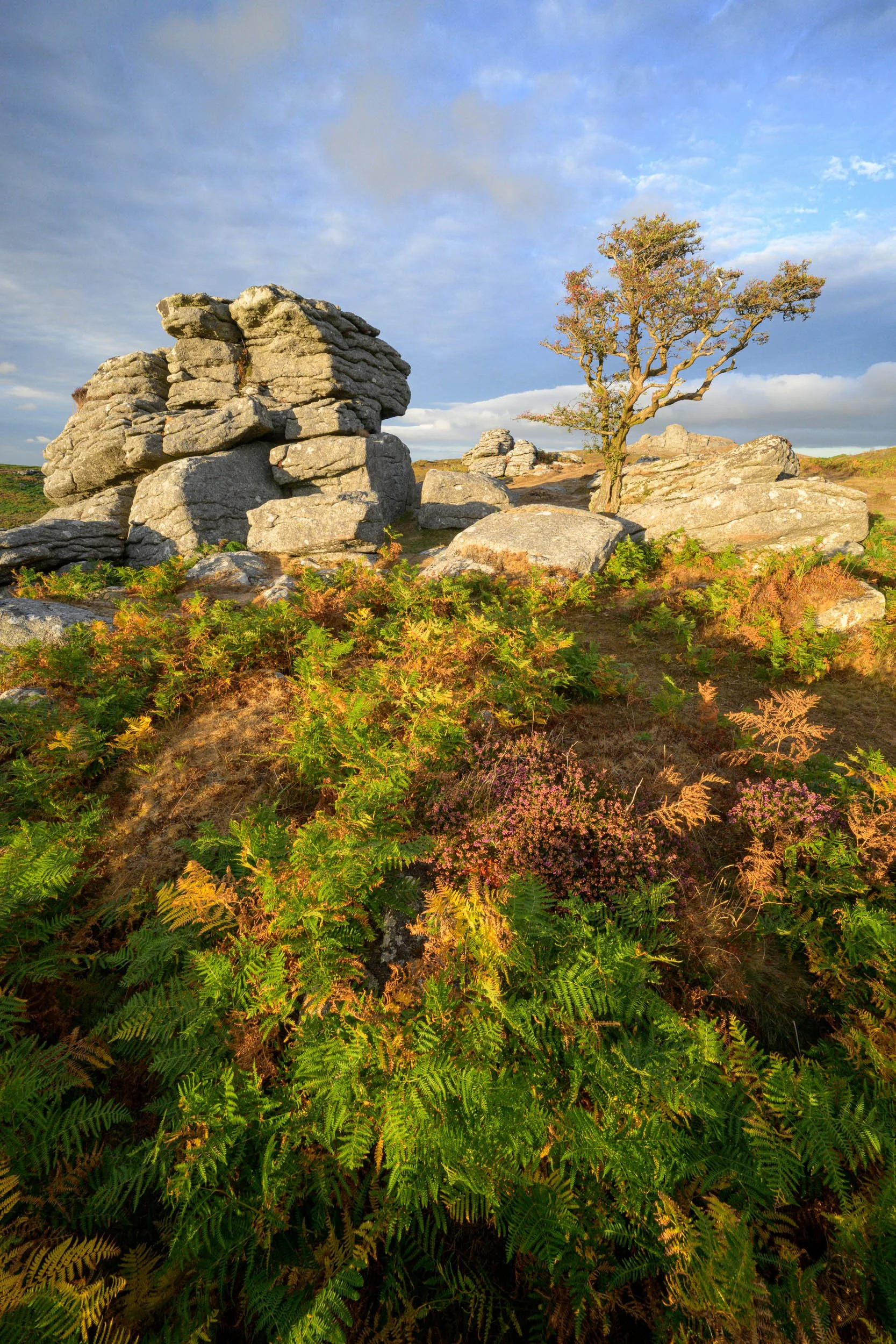 A sunset photograph of Emsworthy Tor at sunset.