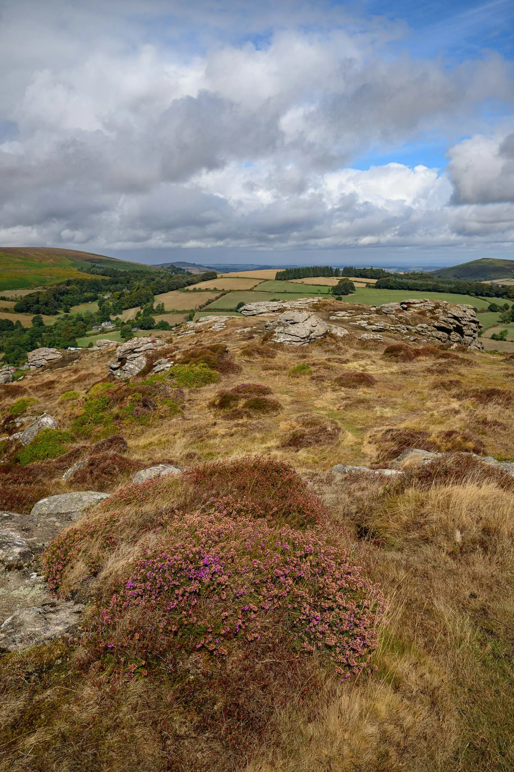 A landscape photograph of Honeybag Tor on Dartmoor taken during the day with some heather