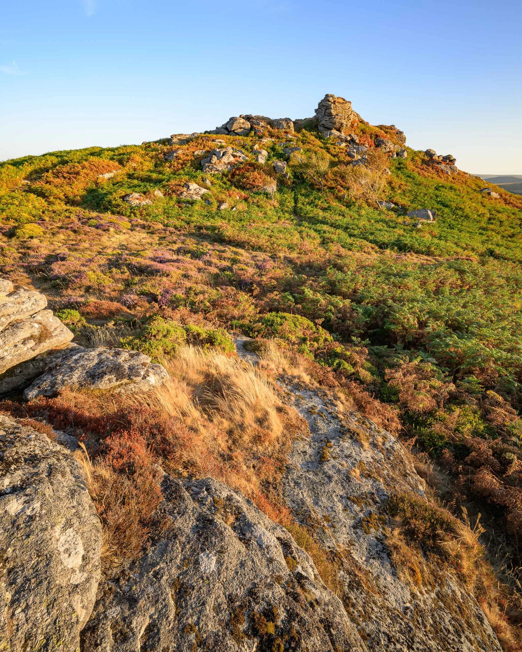A sunset photograph of Honeybag Tor taken on a summers evening on Dartmoor
