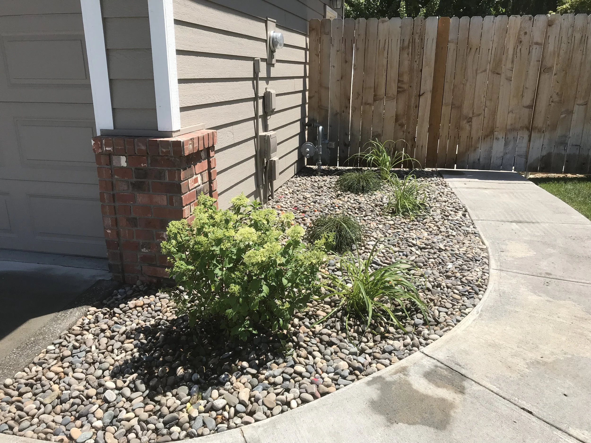 What can be planted in fall?