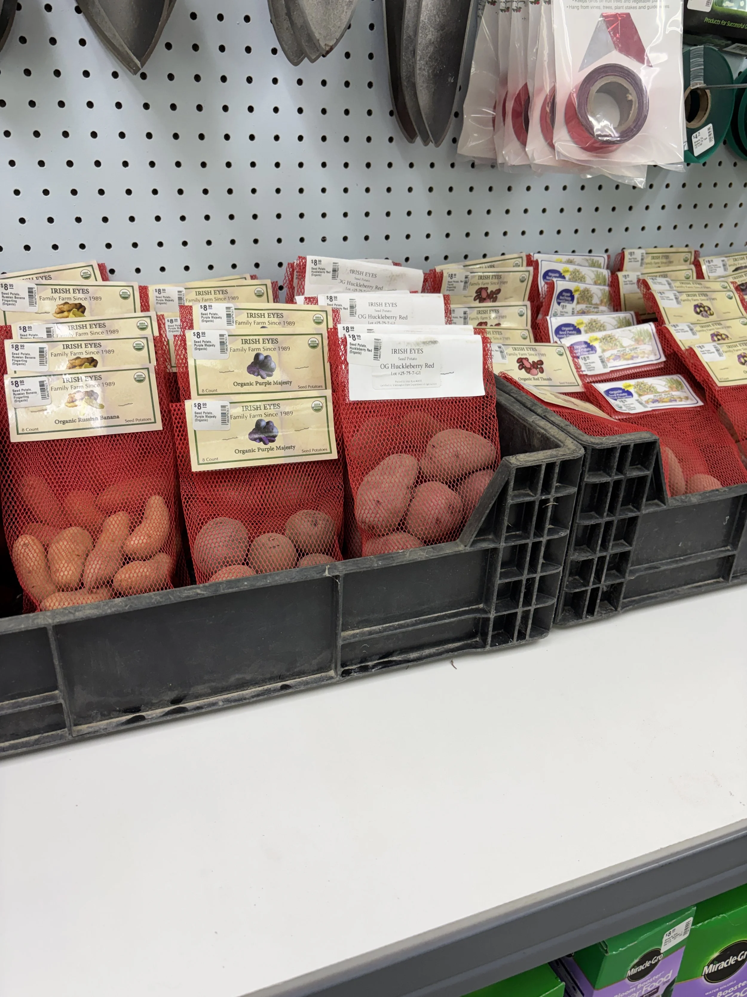 Organic Seed Potatoes are here at Job’s Nursery, Spring 2026