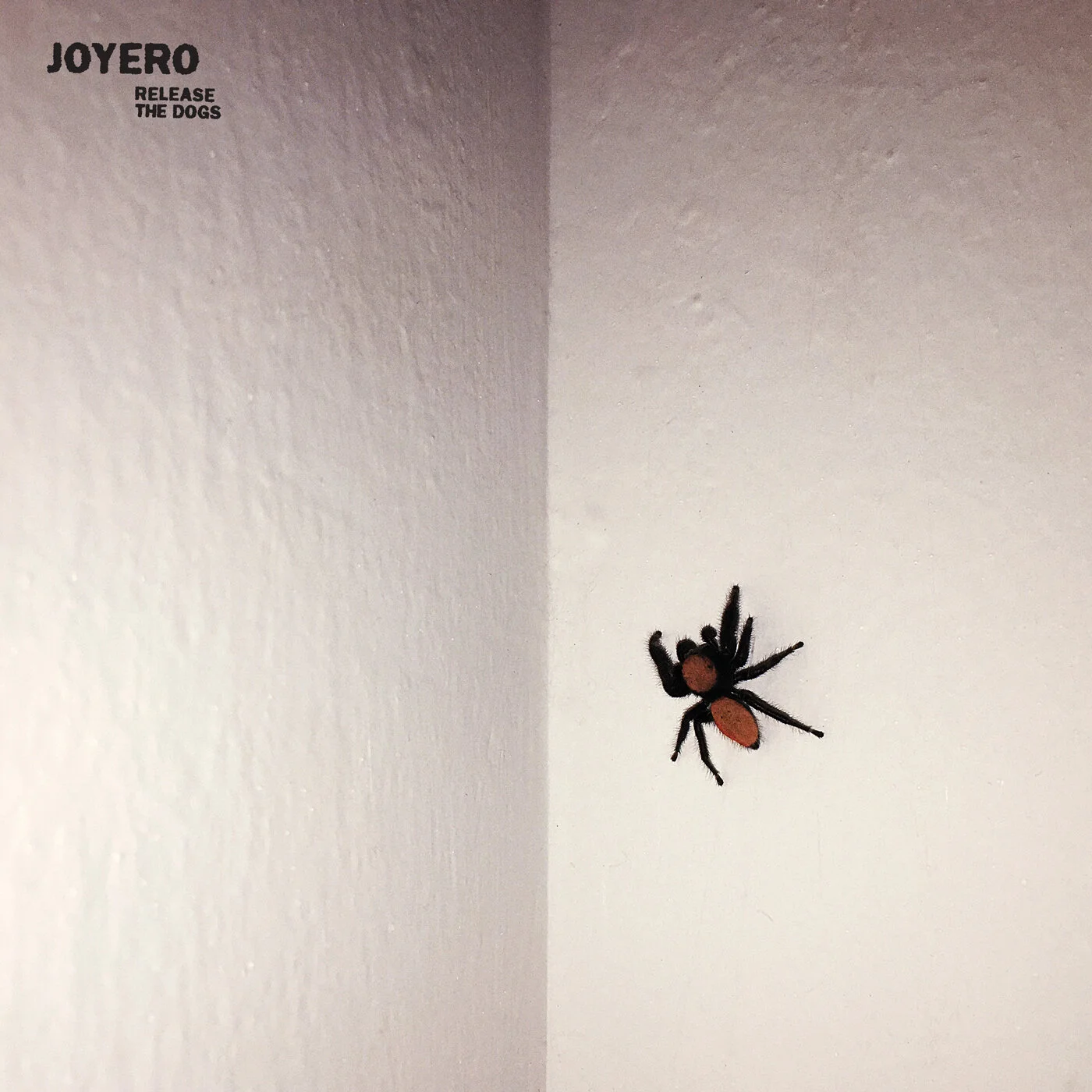 677_joyero_releasethedogs_1400.jpg