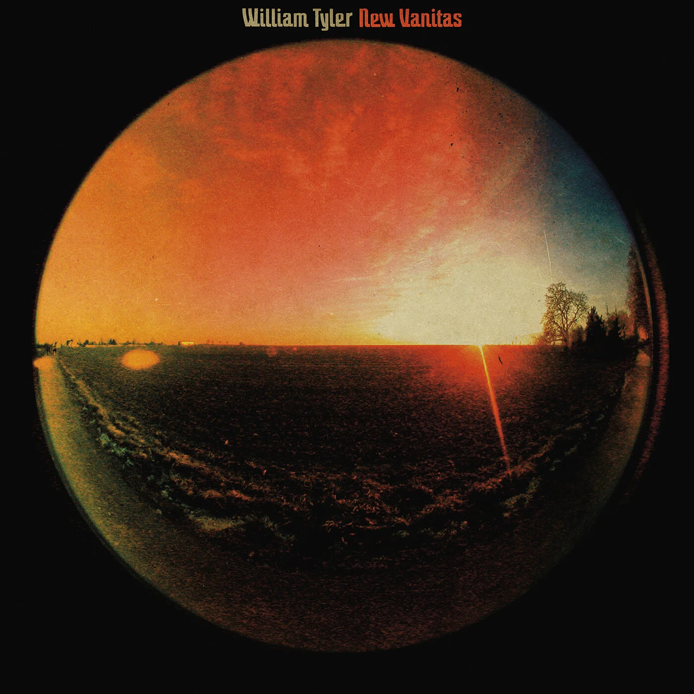 williamtyler_newvanitas_1400.jpg