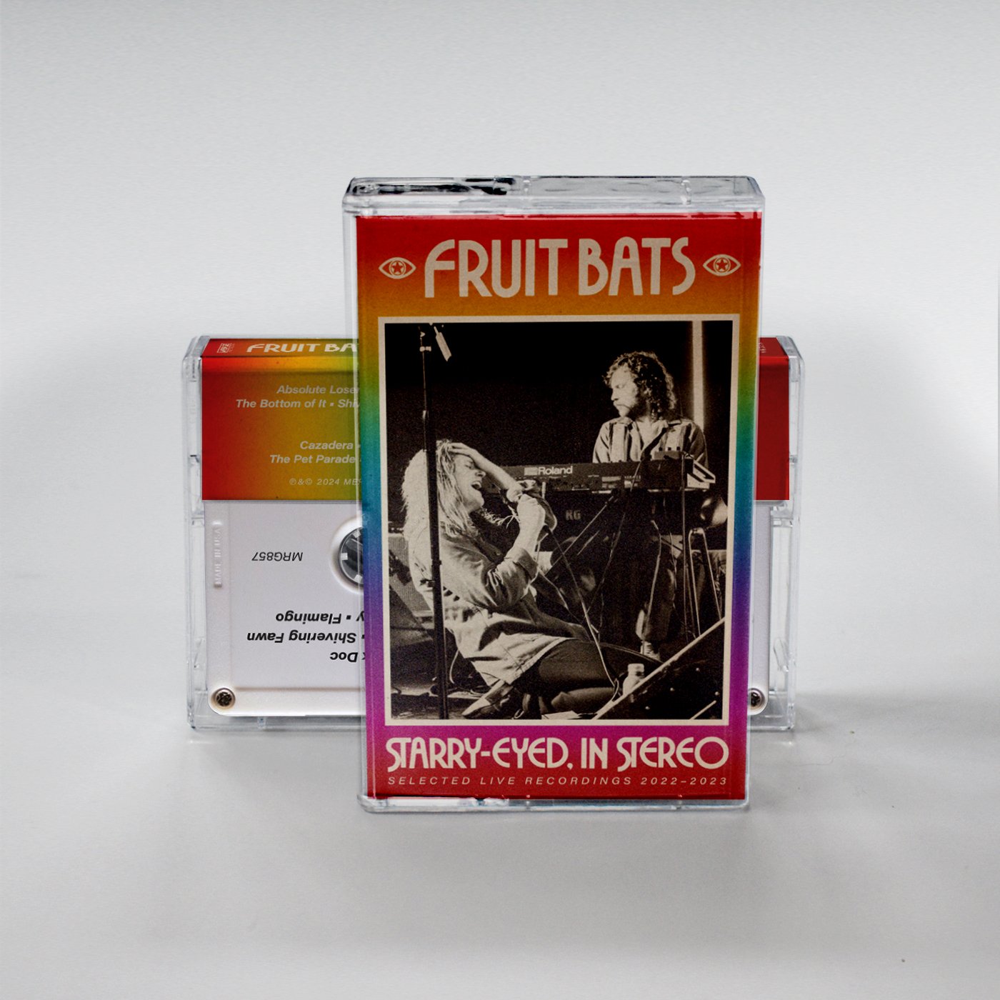fruit bats cassette1.jpg