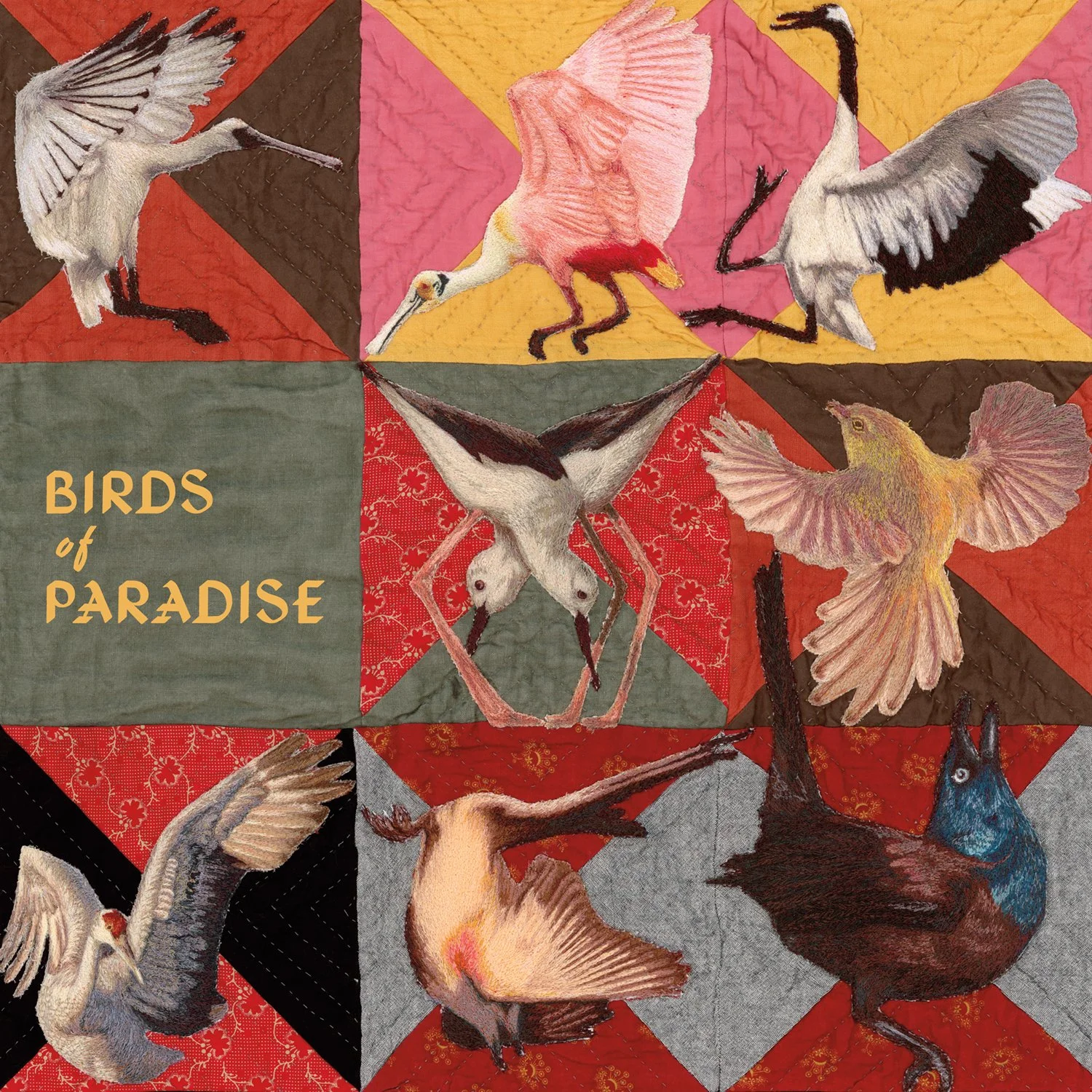 DLR066_thomasdollbaum_birdsofparadise_1500.jpg
