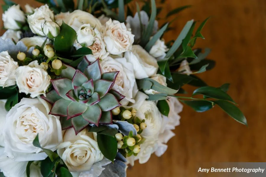 Dailey_Holoien_AmyBennettPhotography_PKwedding0026_0_low.JPG