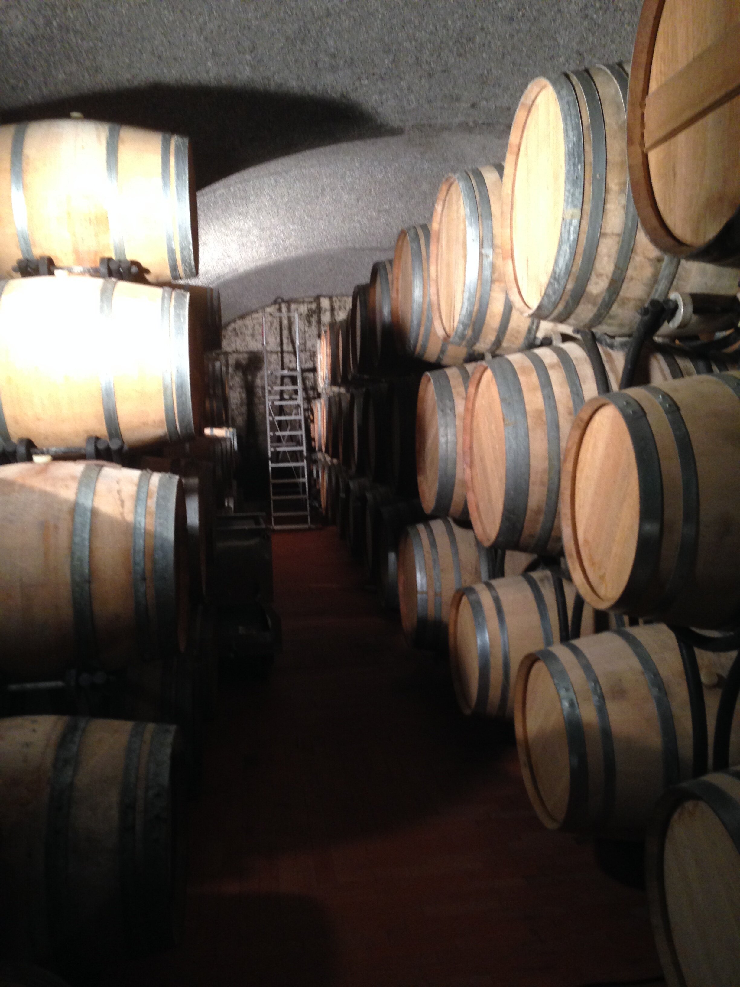 Wine Barrels 1.JPG
