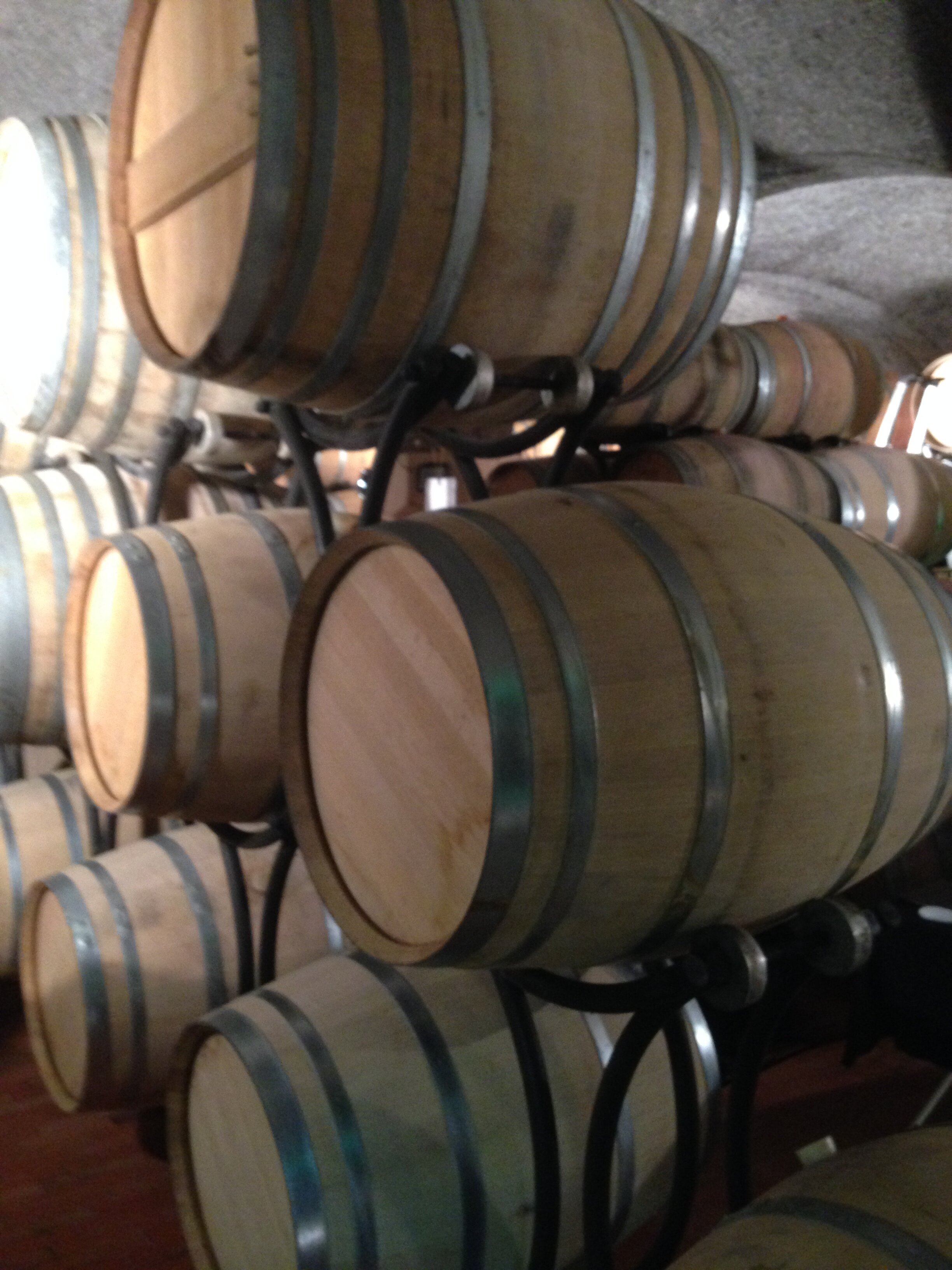 Wine Barrels 2.JPG