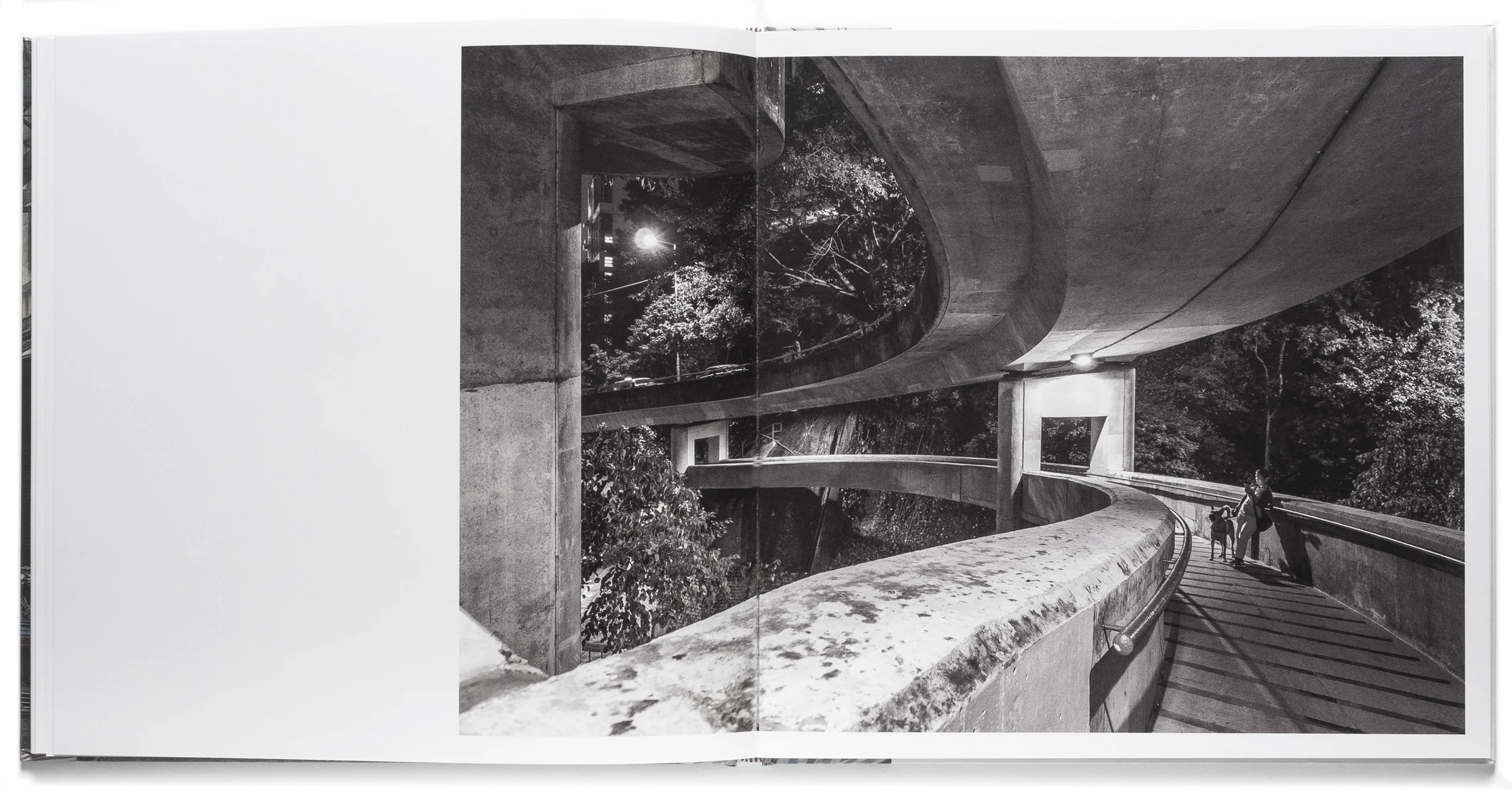 Fieldnotes - Book 10.jpg