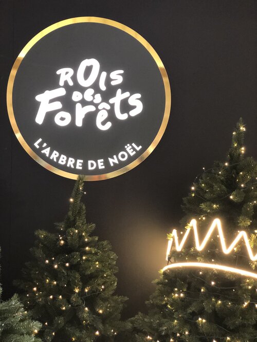 Le Bon Marché Rive Gauche Launches its Christmas Season - IGDS