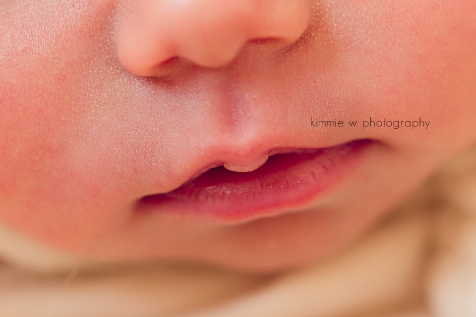 NYC Newborn Photographer
