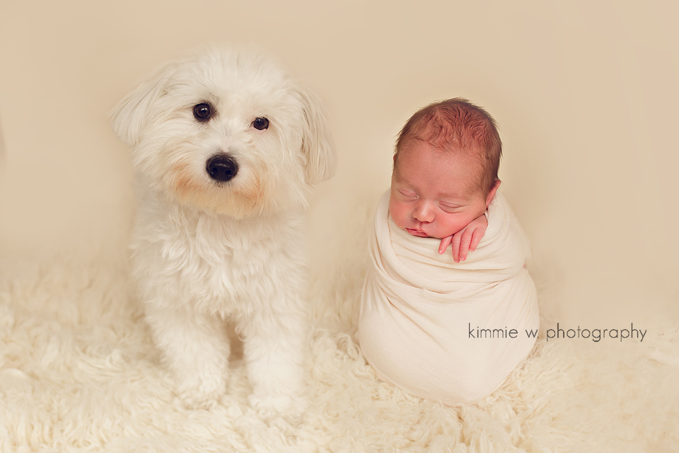 NYC Newborn Photographer