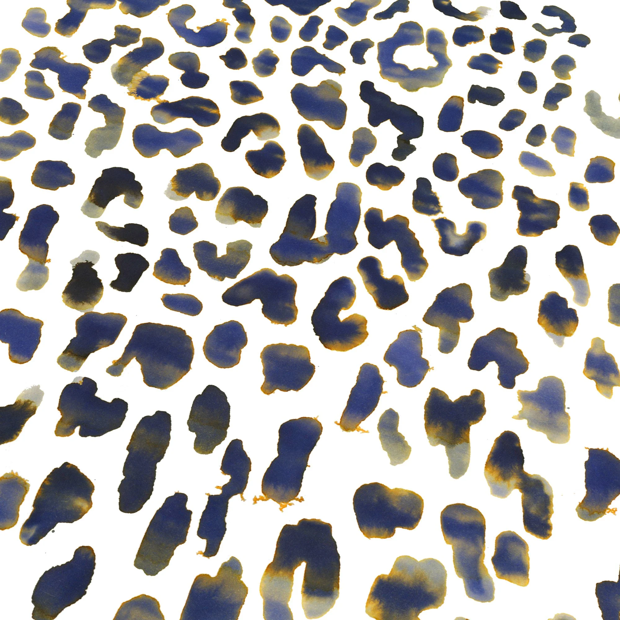 Sara Singh fashion illustrator