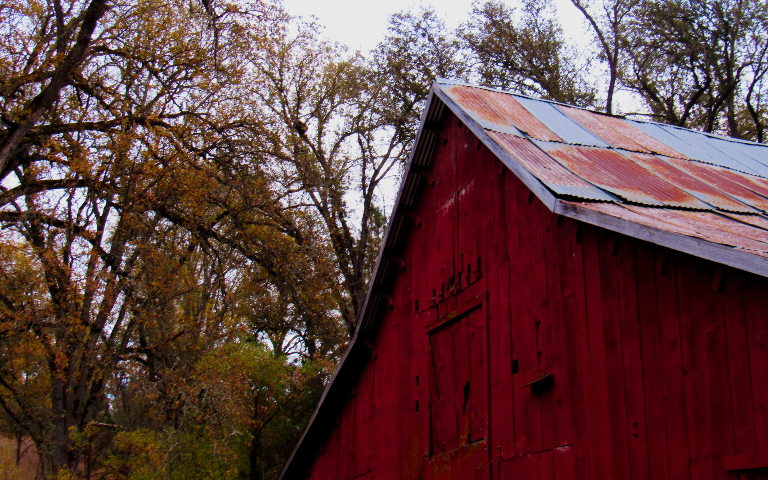 red_barn.jpg
