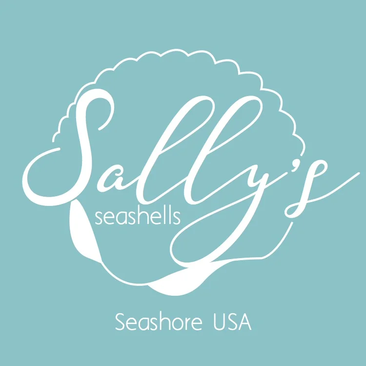 sallys.jpg